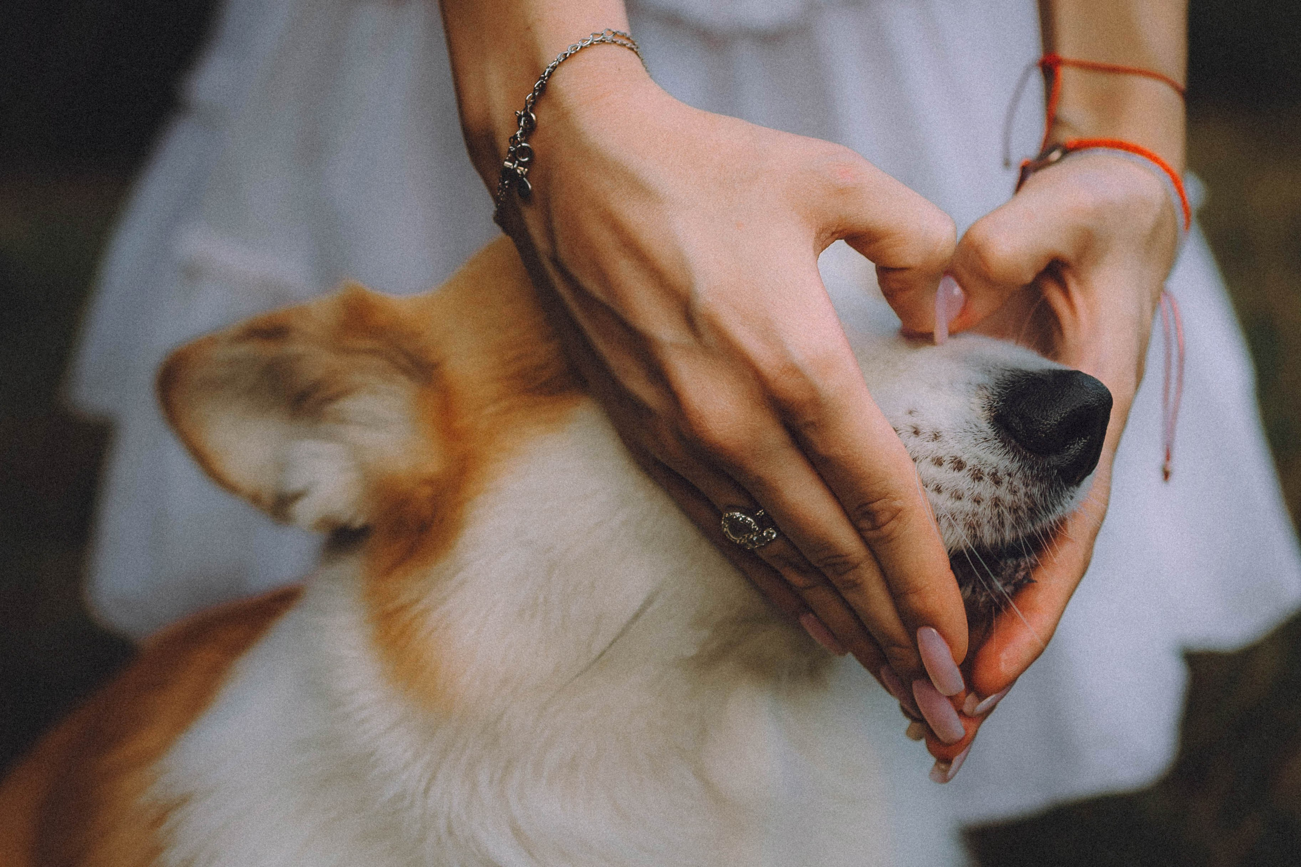 Арчи и его семья