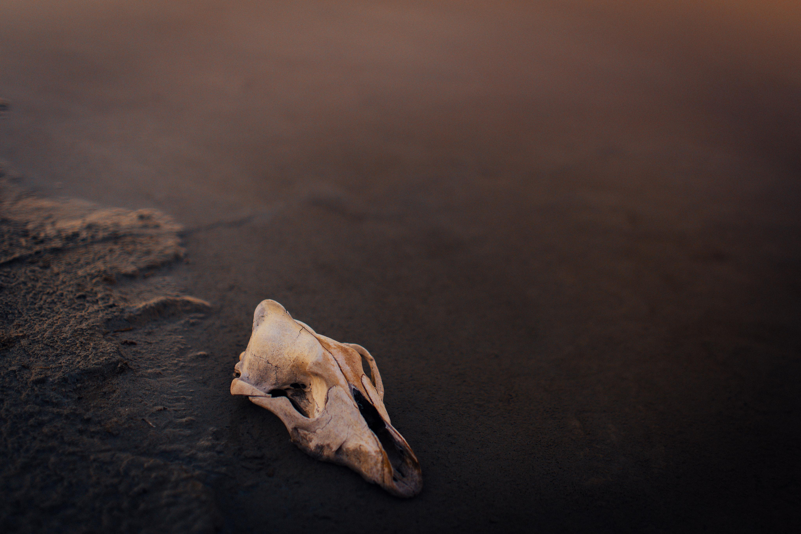 Lost. Портретный арт-фотограф в Екатеринбурге Алена Нестерова