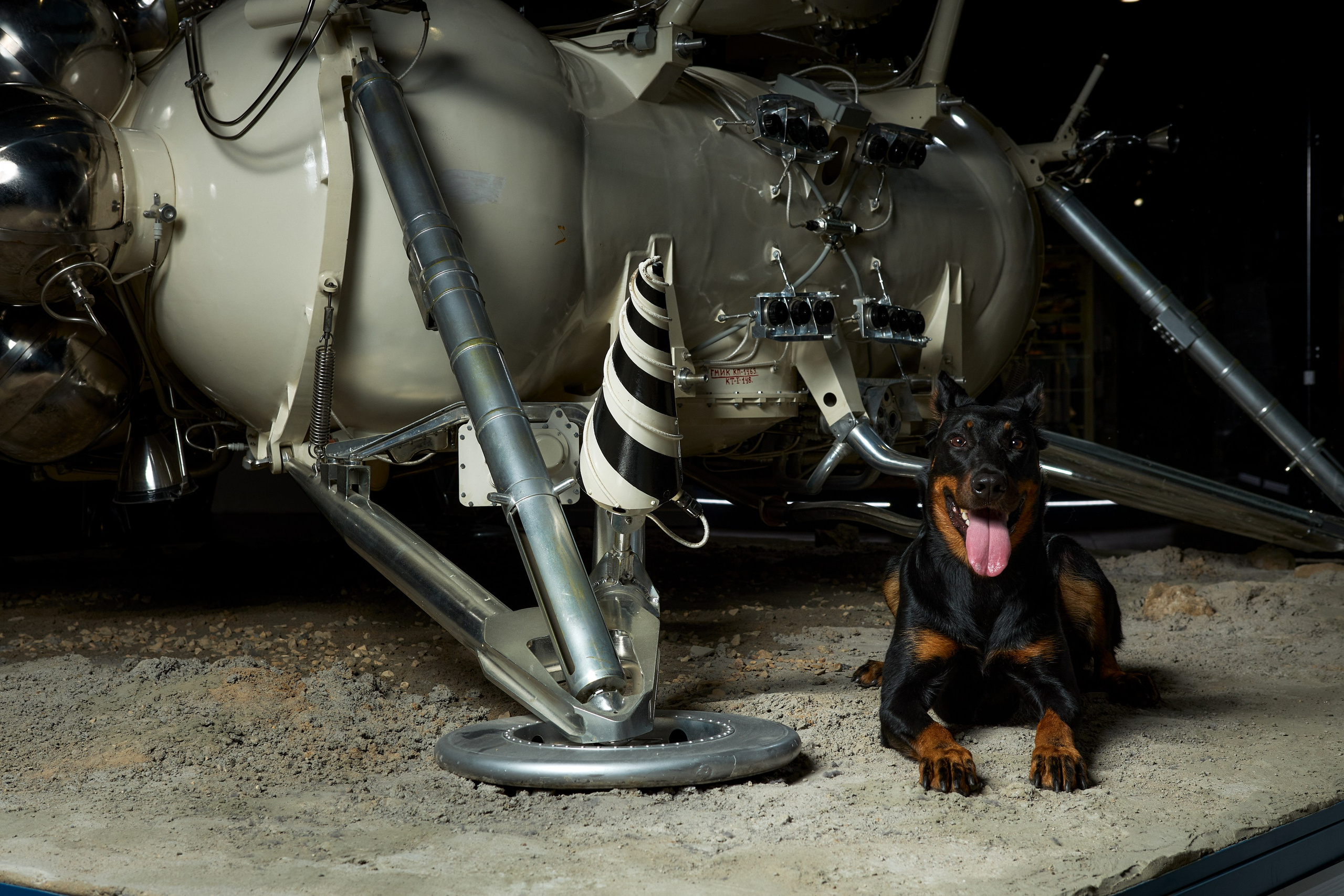 Фотограф Михаил Стенин