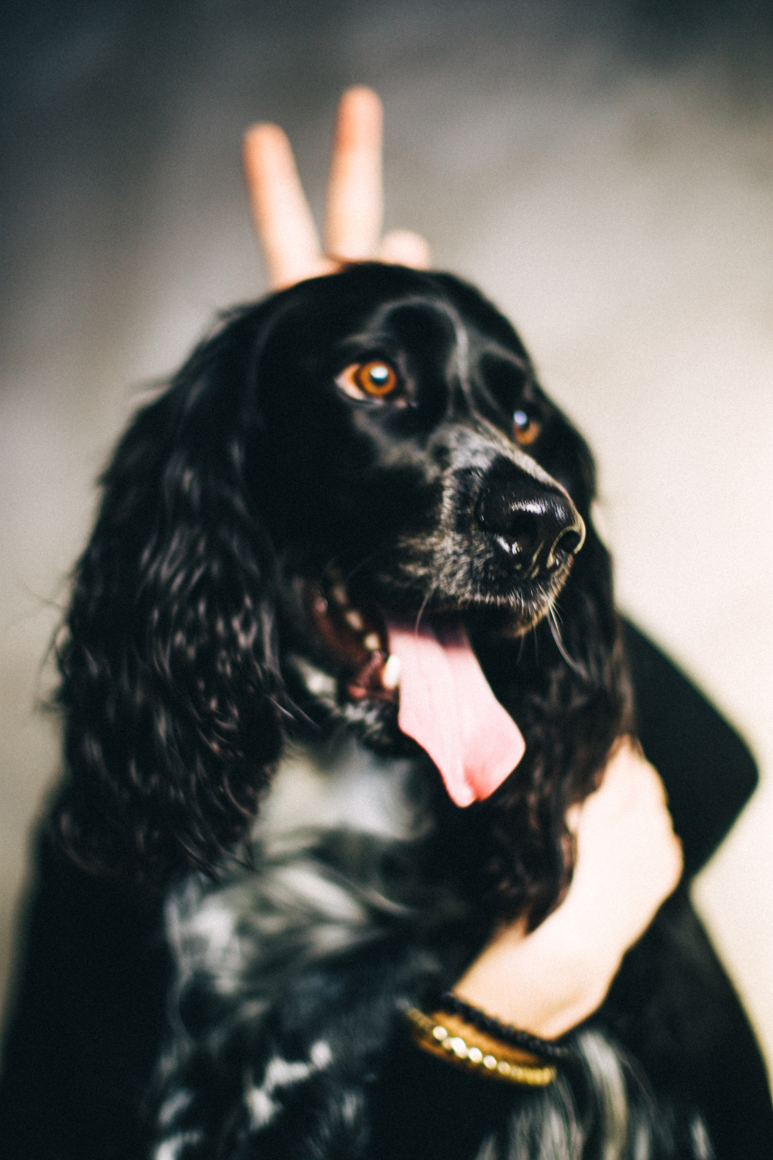 Марина и Сэм. Фотограф в Нижнем Новгороде