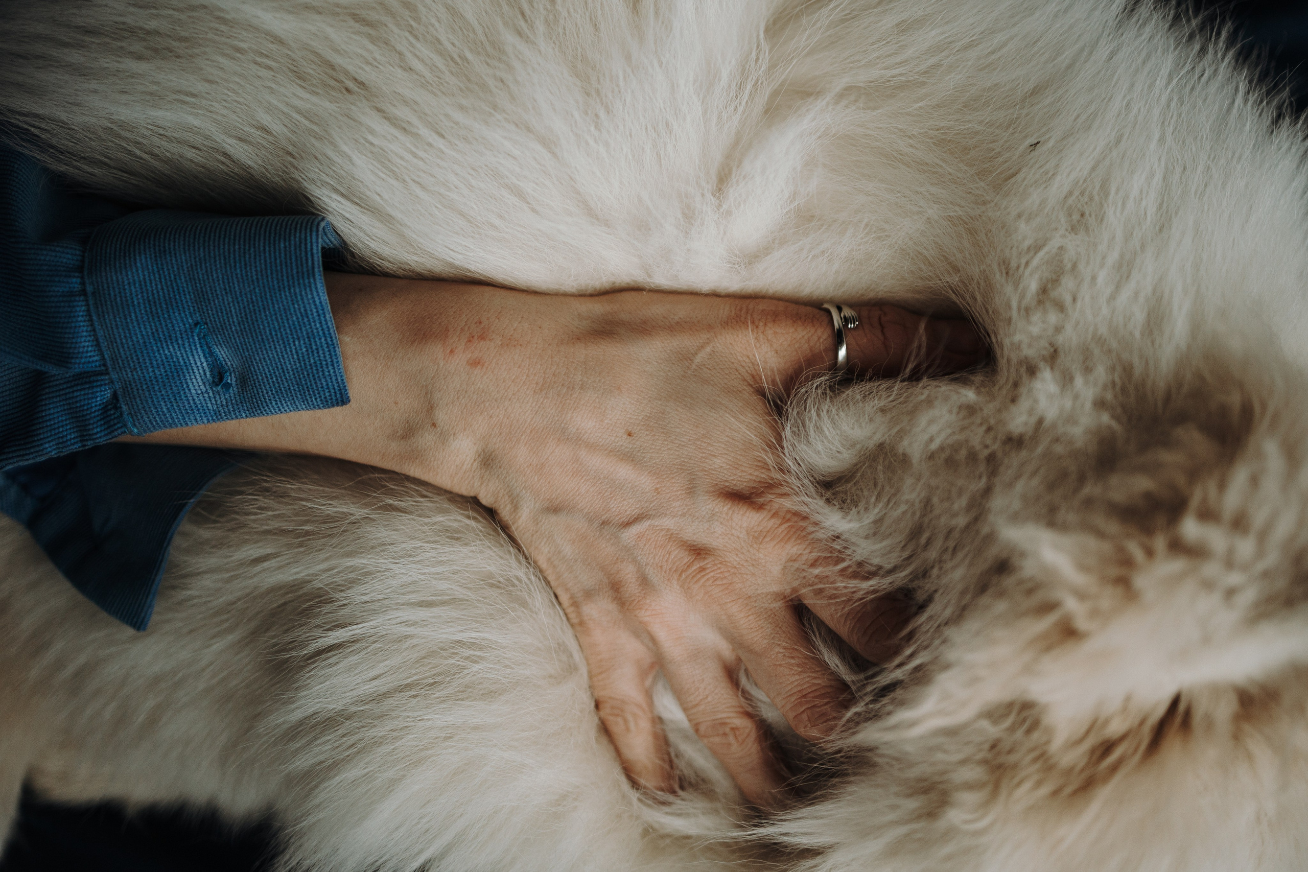 Марина и Мушу. Фотограф — Анималист | Санкт-Петербург