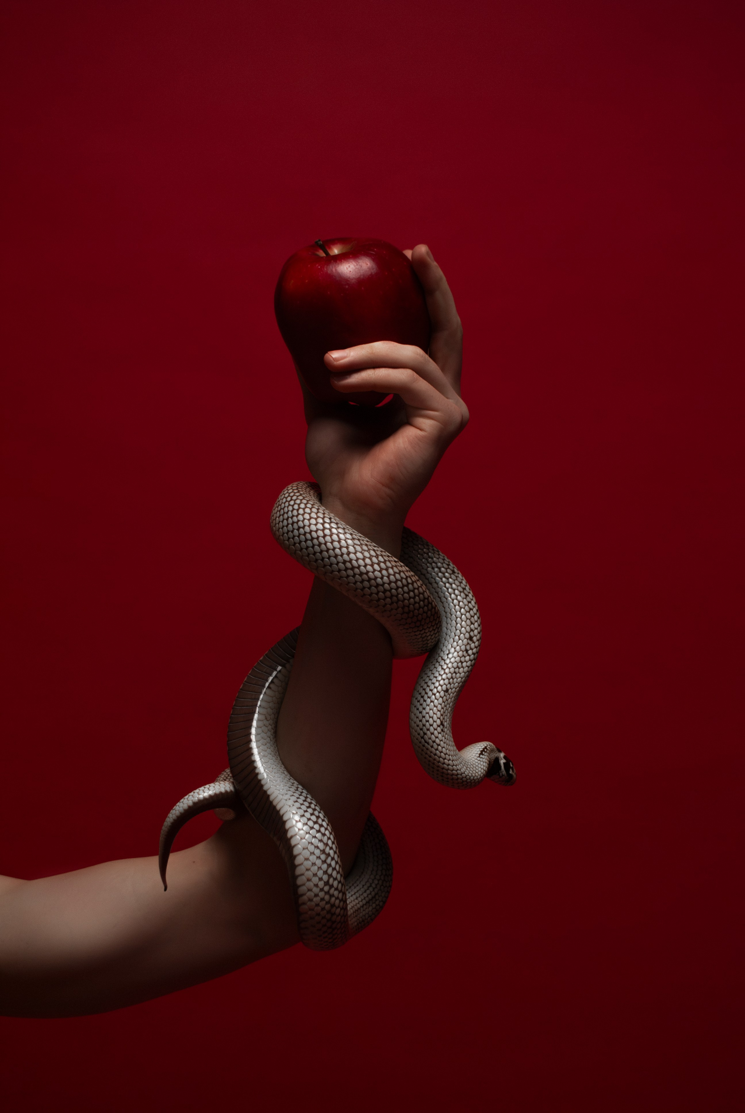 Егор: съёмка со змеёй. Фотограф Белов Тимофей | Красноярск