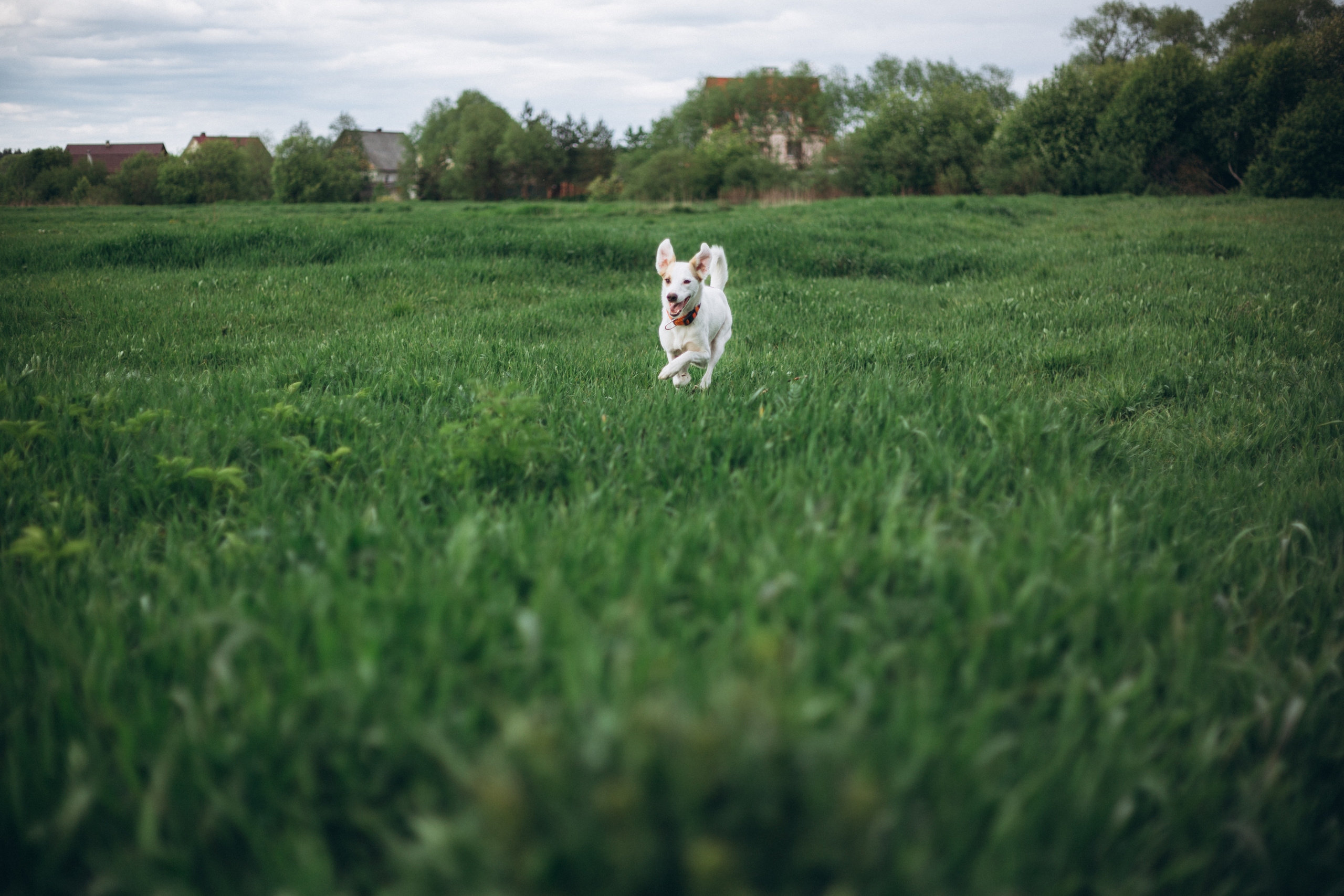 Семья. Свадебный и семейный фотограф в Санкт-Петербурге Яцына Юрий. Видеоопер