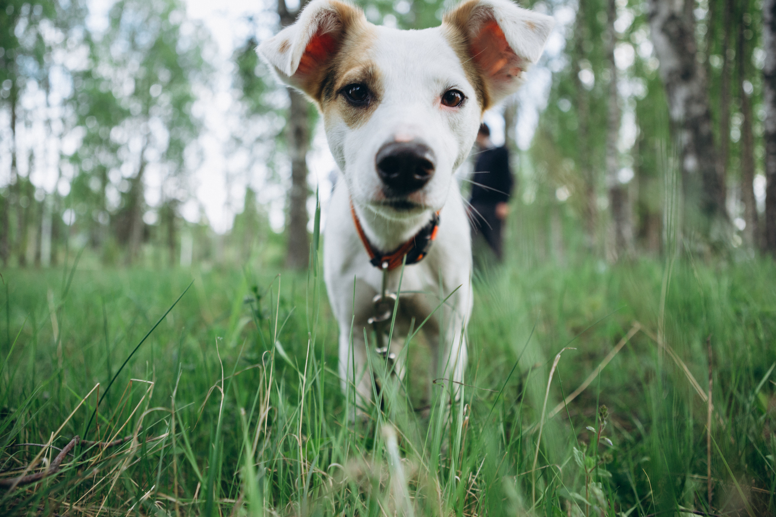 Семья. Свадебный и семейный фотограф в Санкт-Петербурге Яцына Юрий. Видеоопер