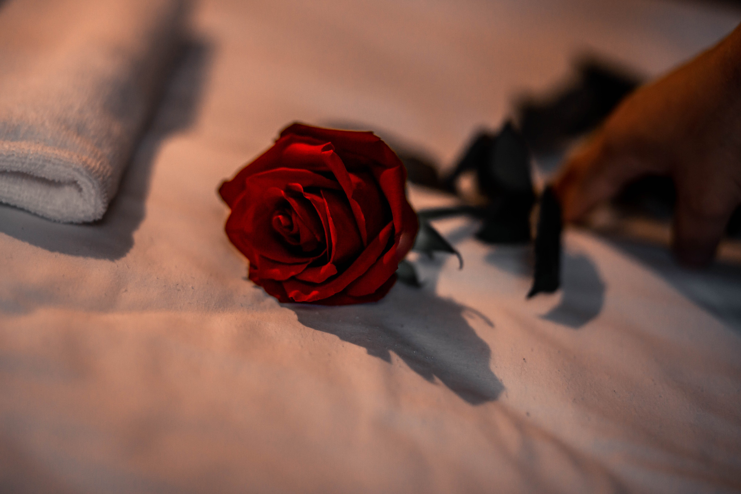 Для мини хостела. Nadin.K фотограф Иркутск, Байкал, Братск