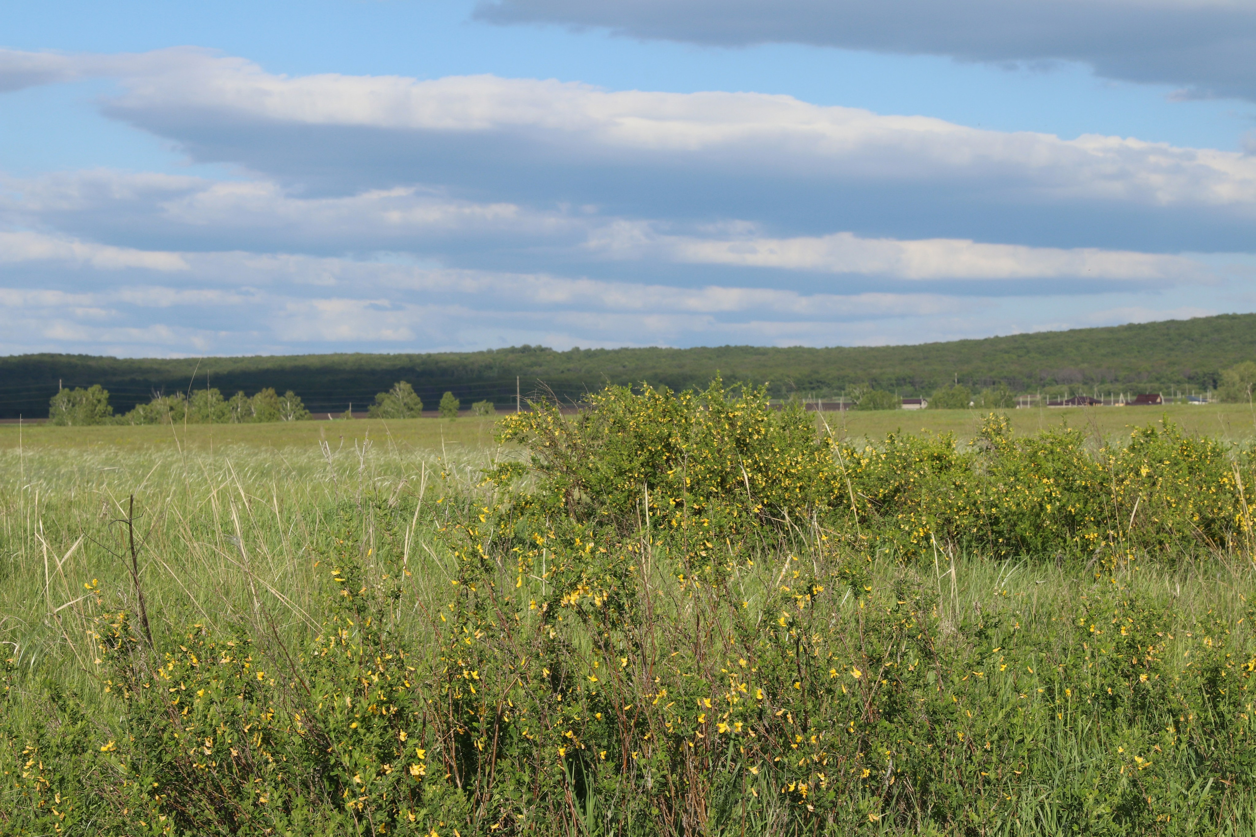 Велопоход Уфа — Мелеуз. Май 2024. Путешественник-фотограф из Санкт-Петербурга Татьяна Свистулина