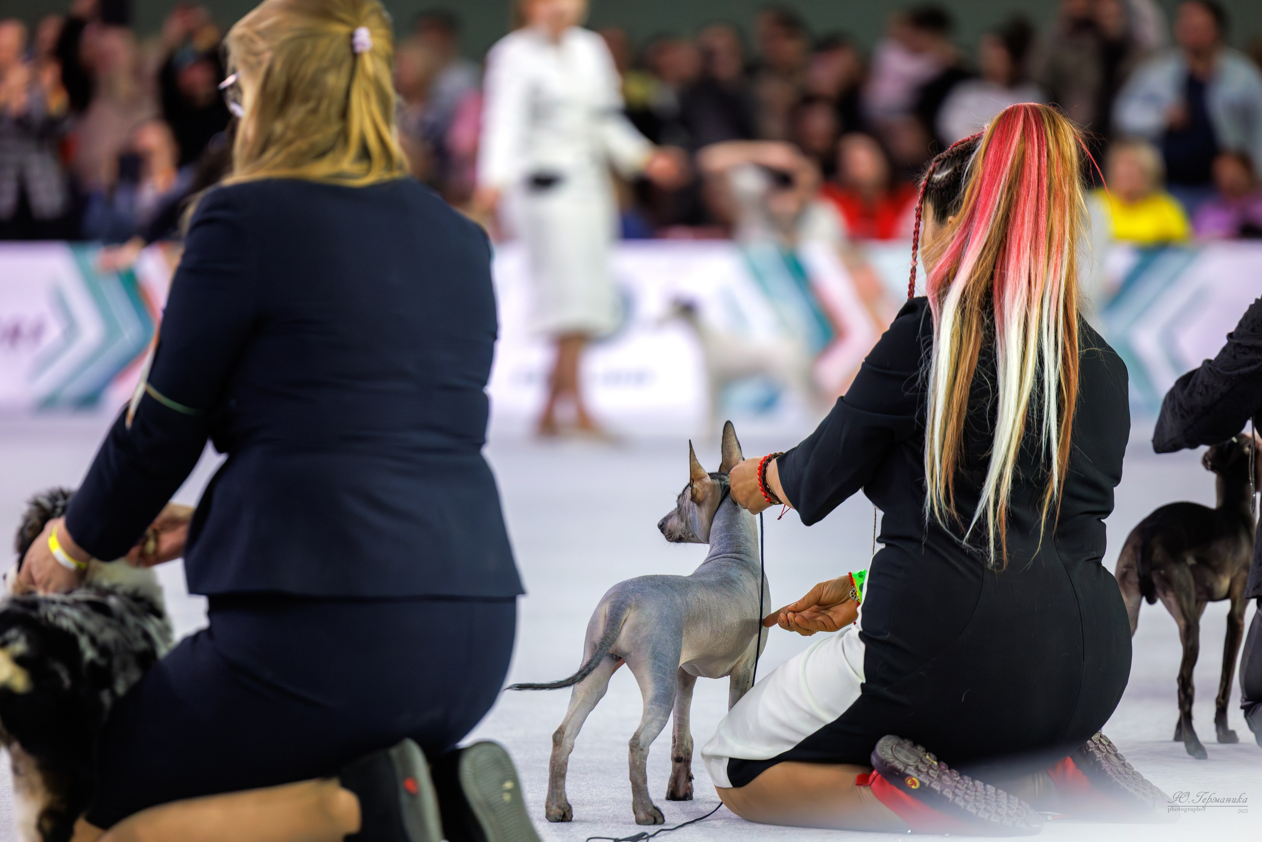 Евразия 15-16.11.2025. Фотограф-анималист Юлия Германика