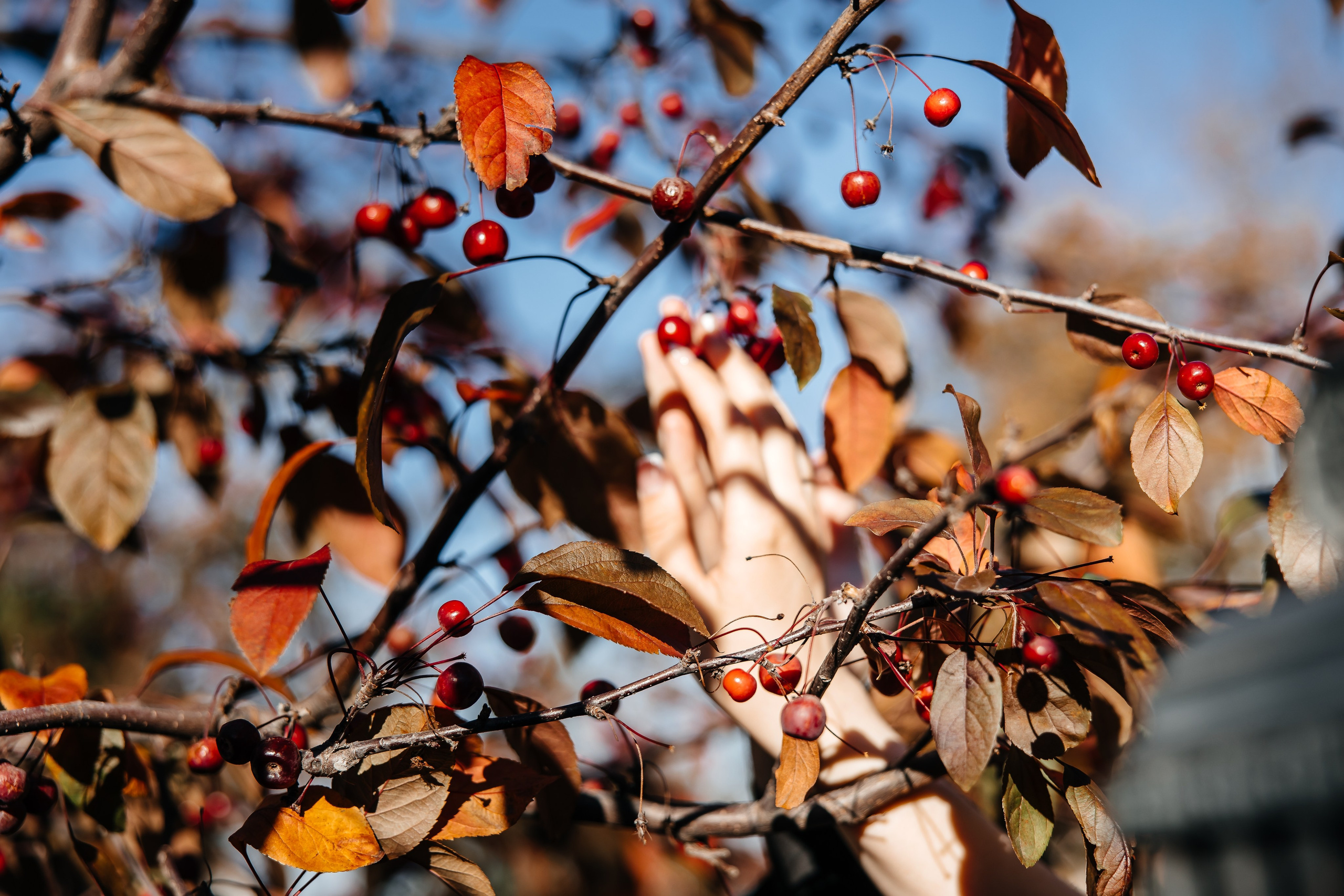Анонс свадьбы для Наталии и Евгения. Свадебный фотограф в Крыму и Севастополе Ольга Баскакова