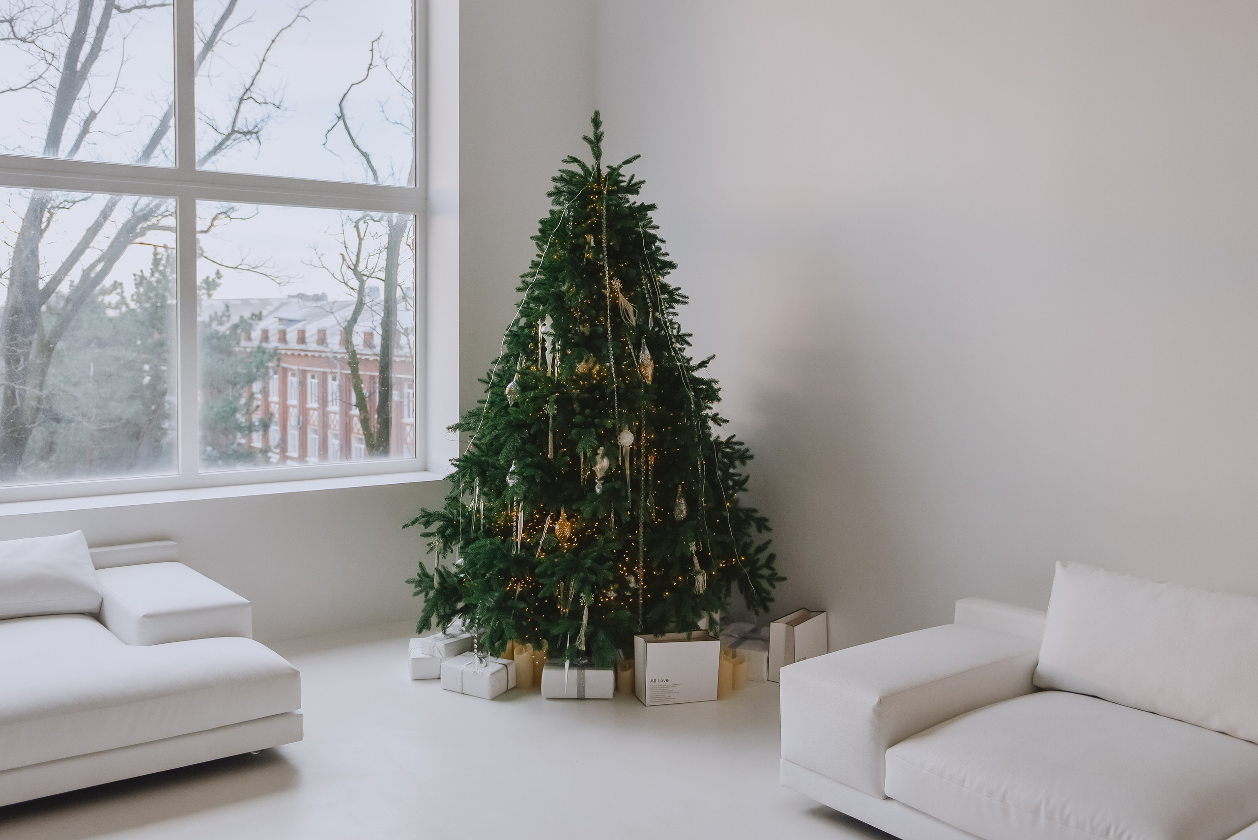 Отзывы. Нежный фотограф Вера Папиж