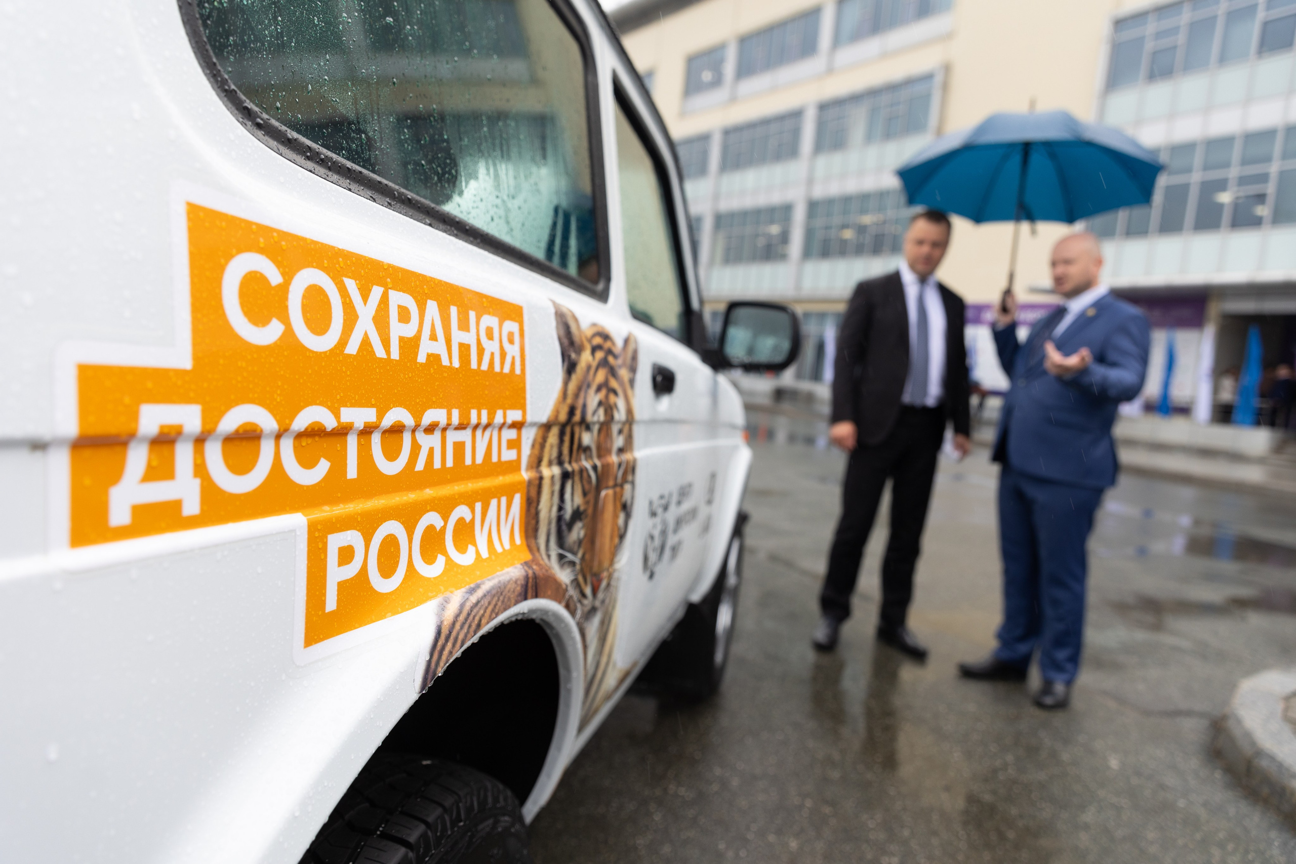 Амурский тигр. Репортажный фотограф во Владивостоке
