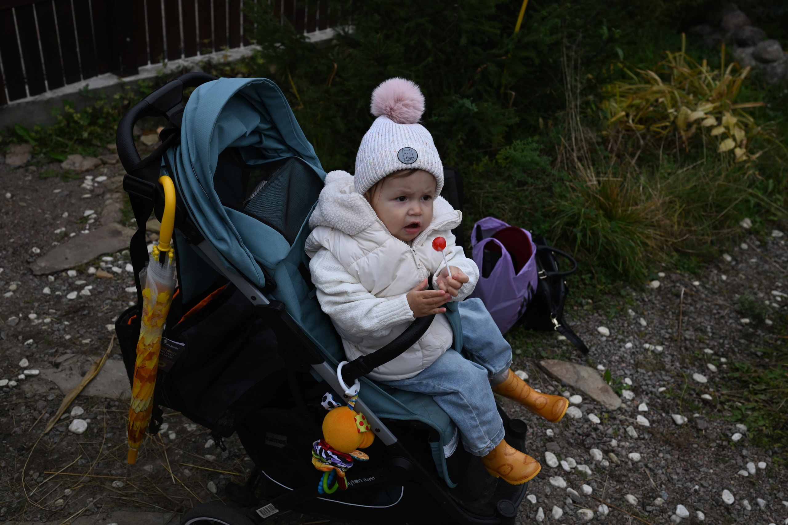 РЕГИНА ОСЕНЬ. Фотограф в Санкт-Петербурге Сафронов Николай