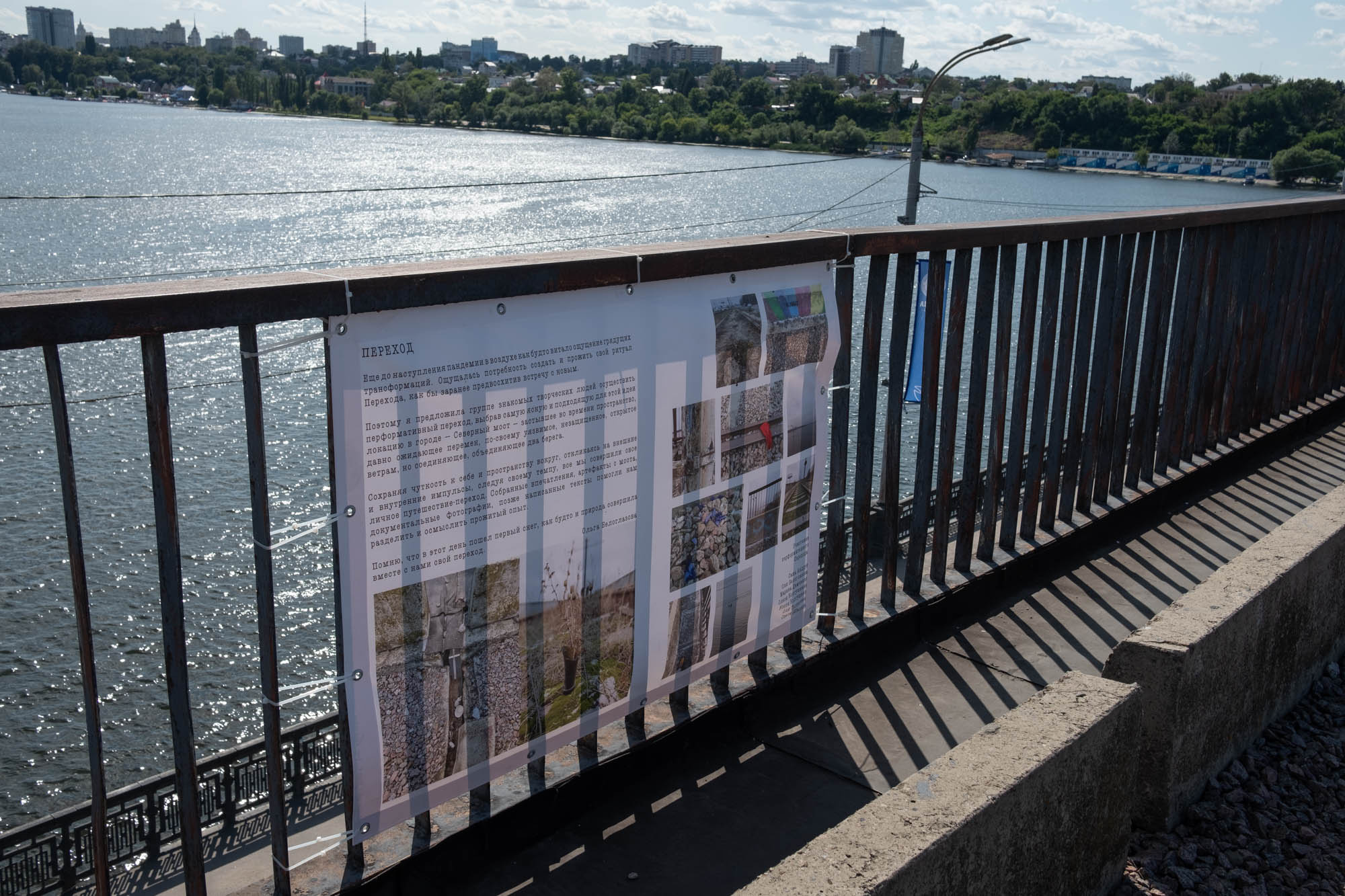 Северный мост. Фотограф Ольга Кардашова