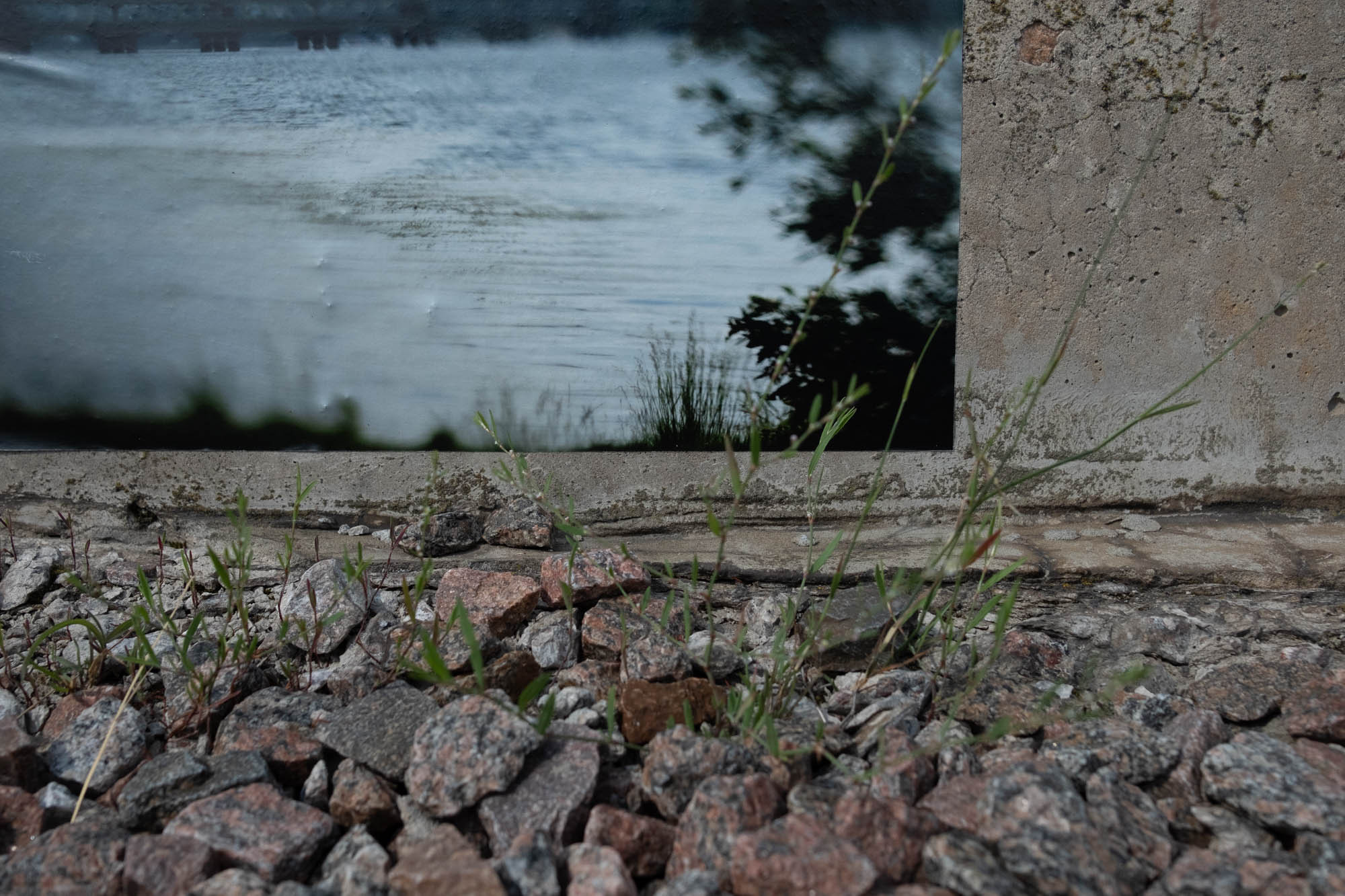 Северный мост. Фотограф Ольга Кардашова