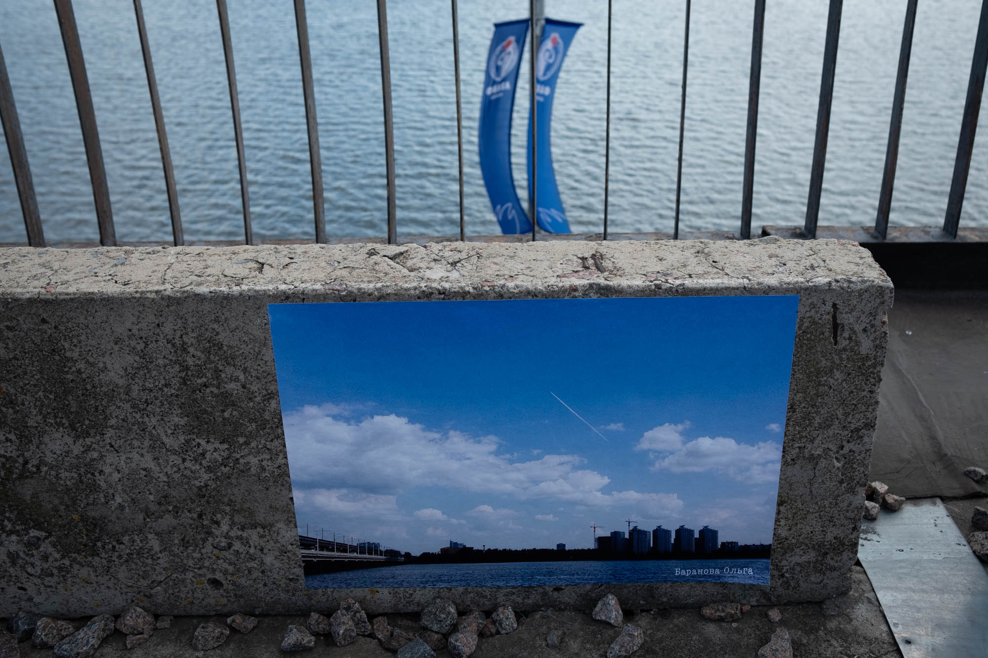 Северный мост. Фотограф Ольга Кардашова