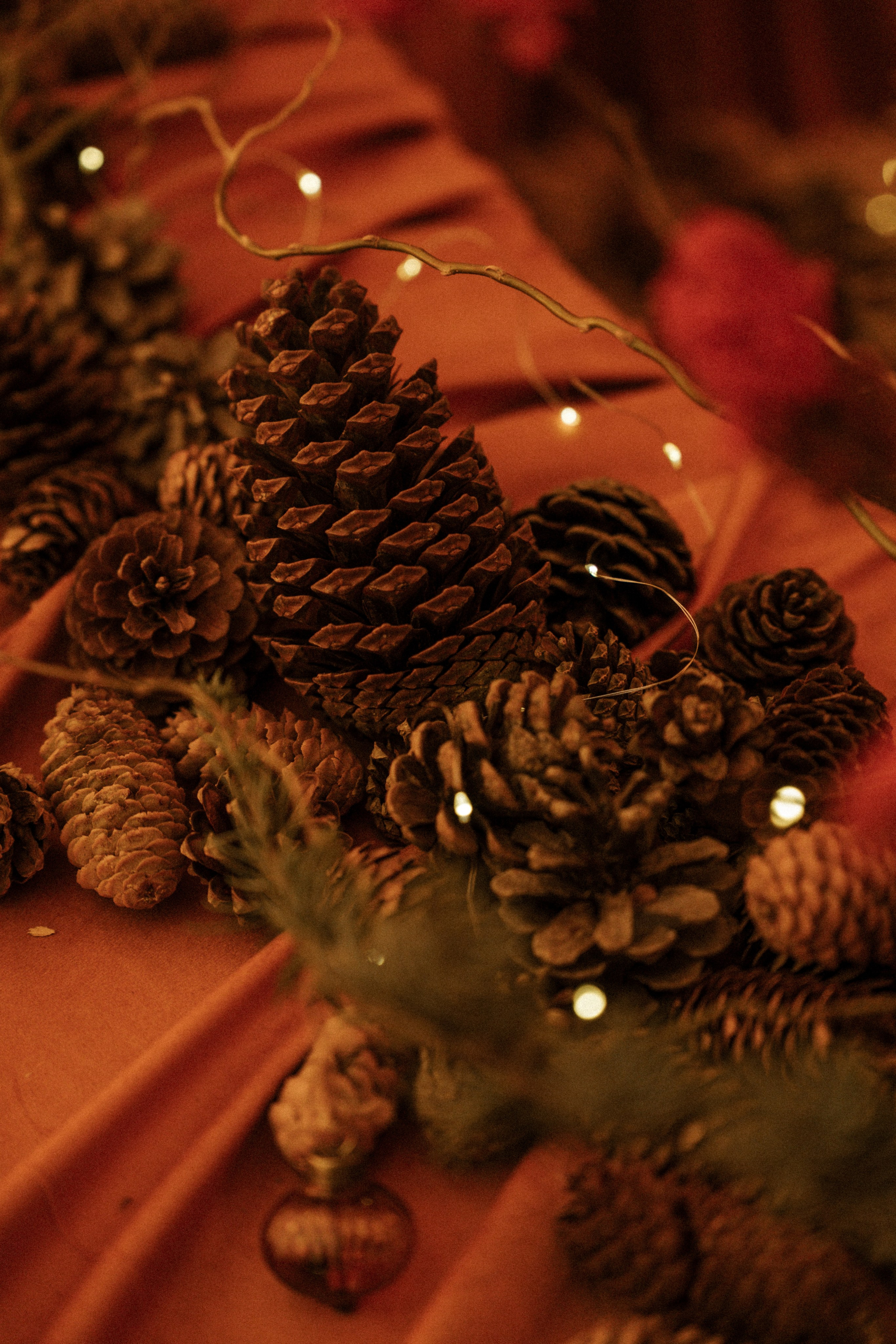 МЕДЬ ЗАПАДА | 19.12.2025 | г. Москва, Согласие Холл. МашаШарики | Декоратор | Москва