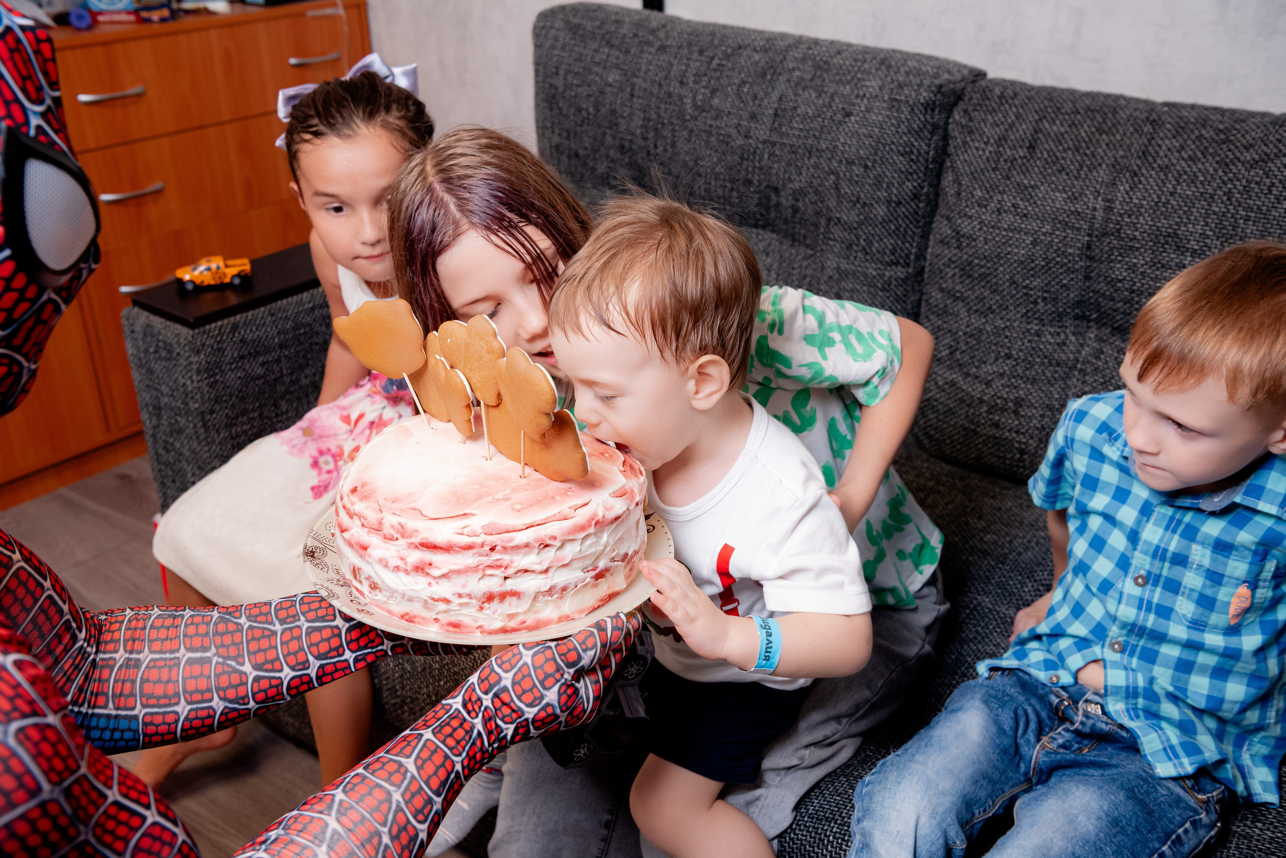 ДР Елисей дома. Фотограф в Волгограде и Волжском Александр Горбань