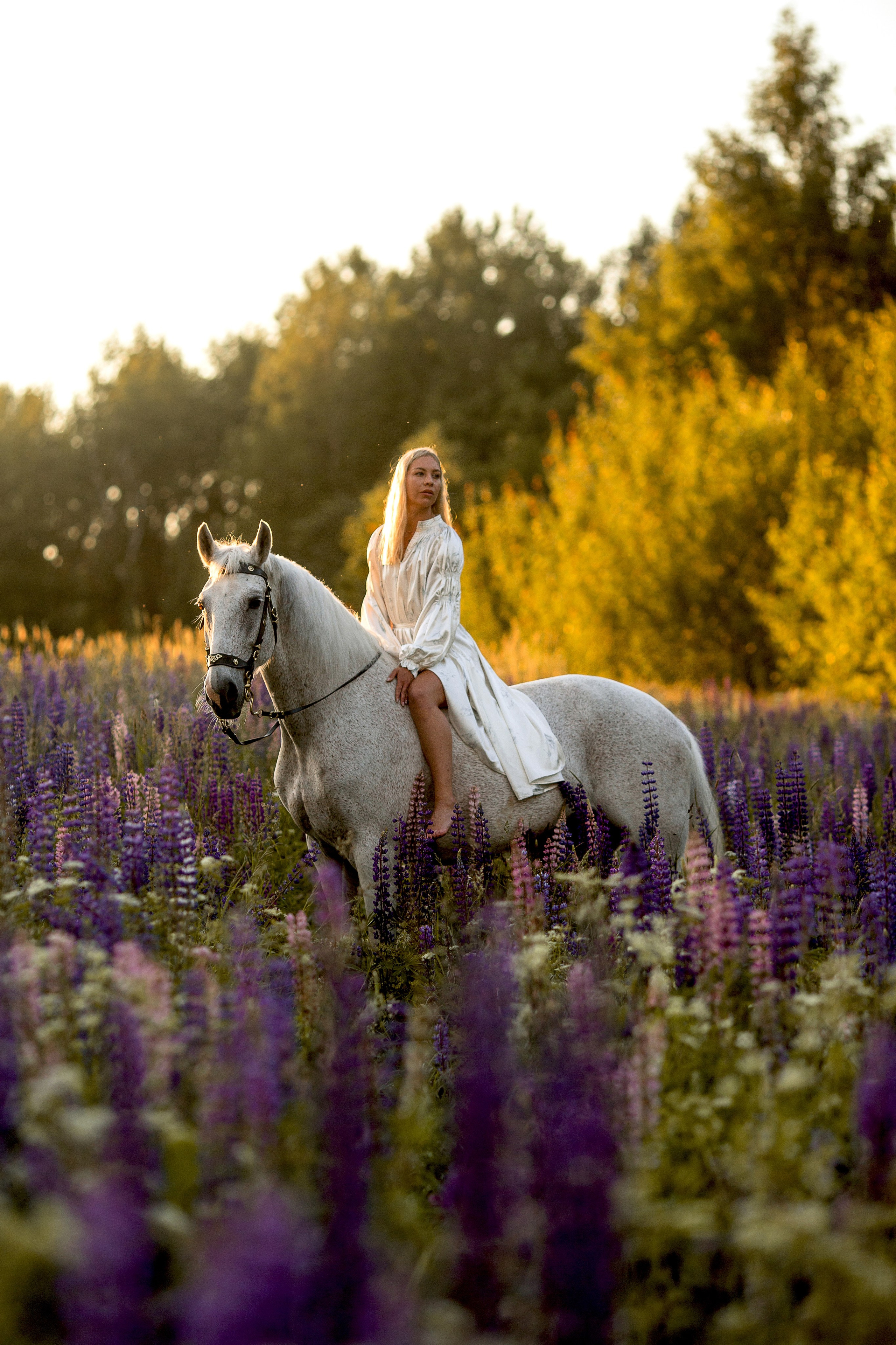 Фотосессия с лошадью в люпинах