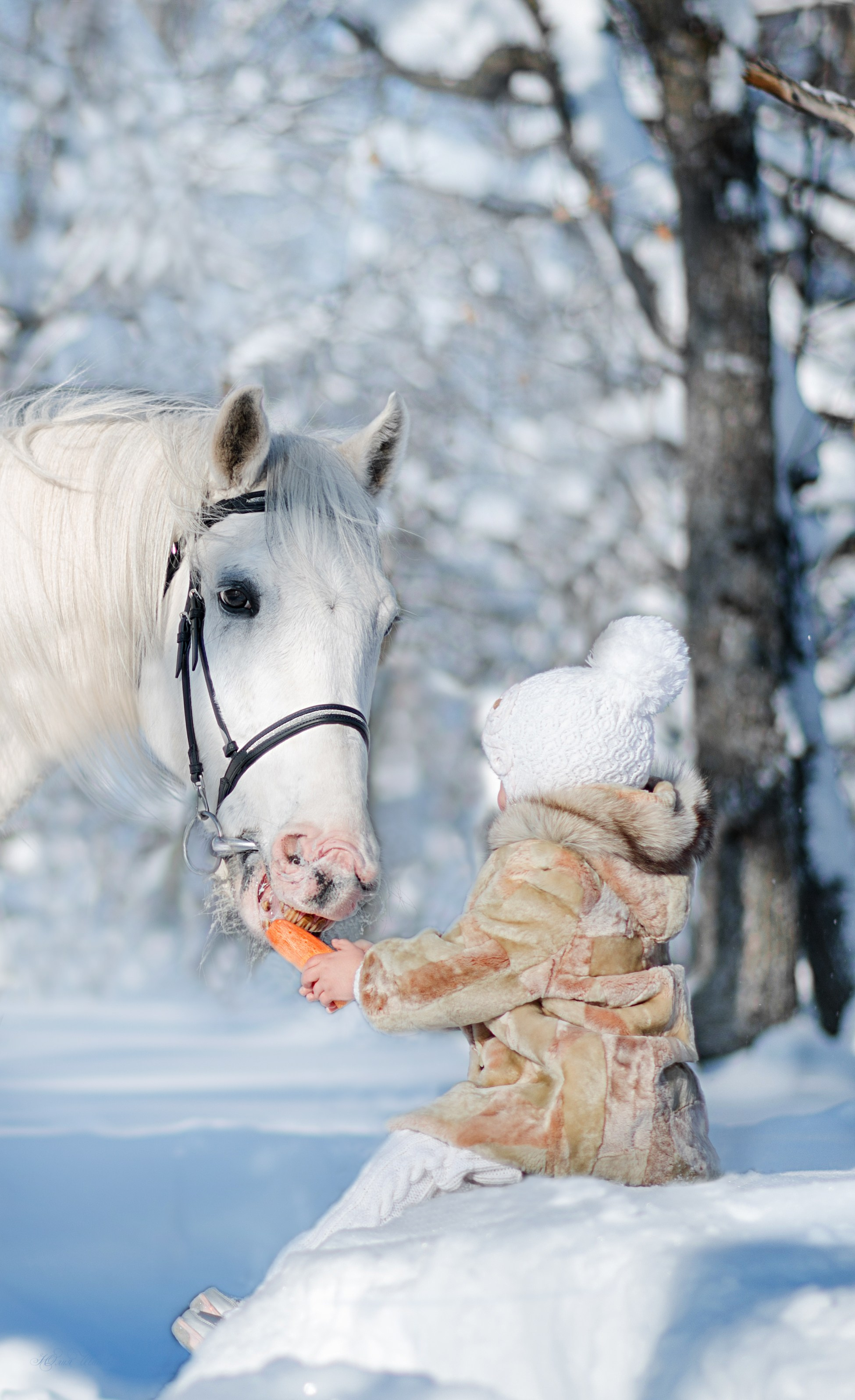 Фотодень с  Каспийцем. Конный фотограф в Саратове Юлия Иванова
