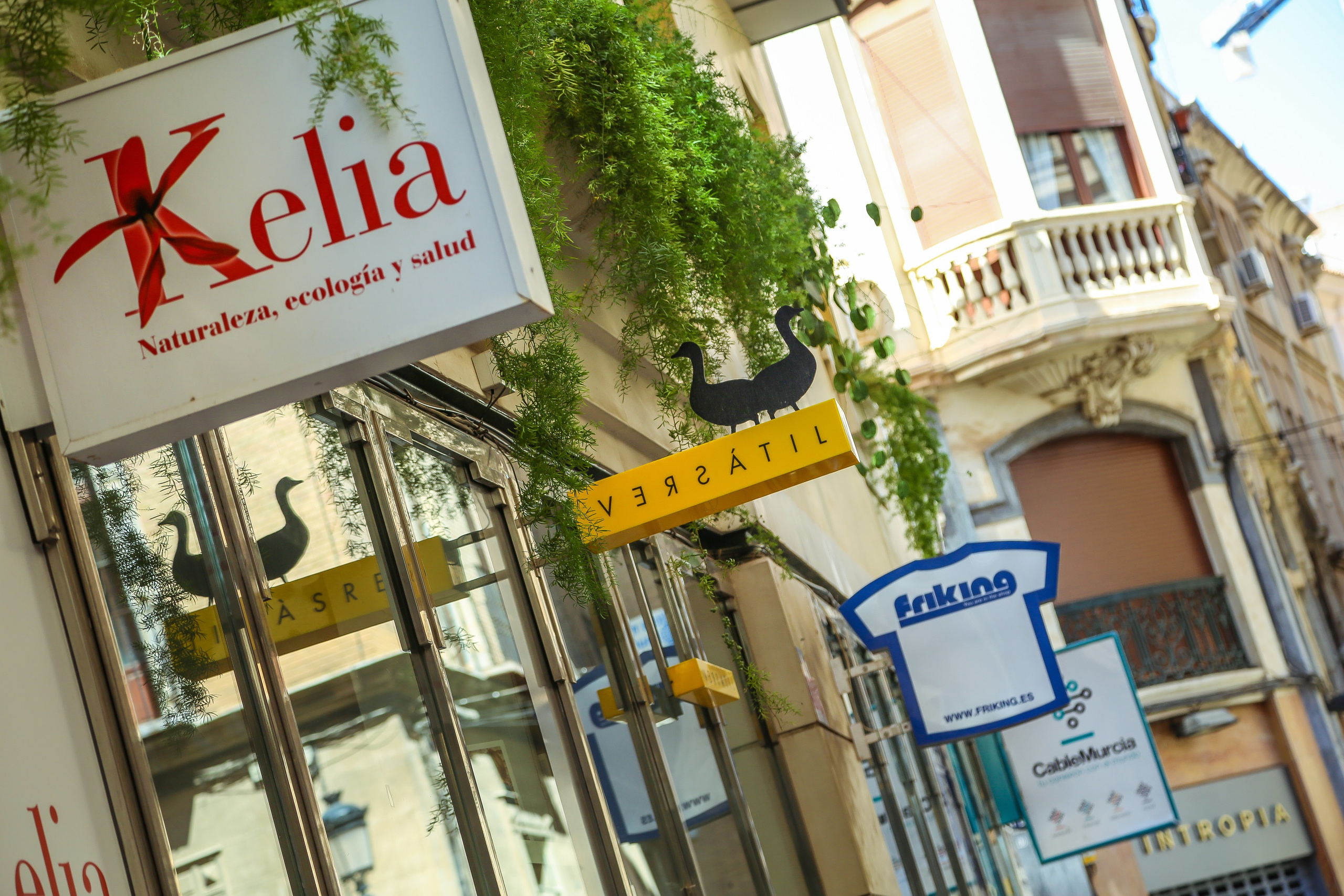 Испания: Мурсия и Арчена — взгляд с дистанции. Дарья Письменюк / Darya Leitstern — фотограф, музыкант, журналист, путешественник