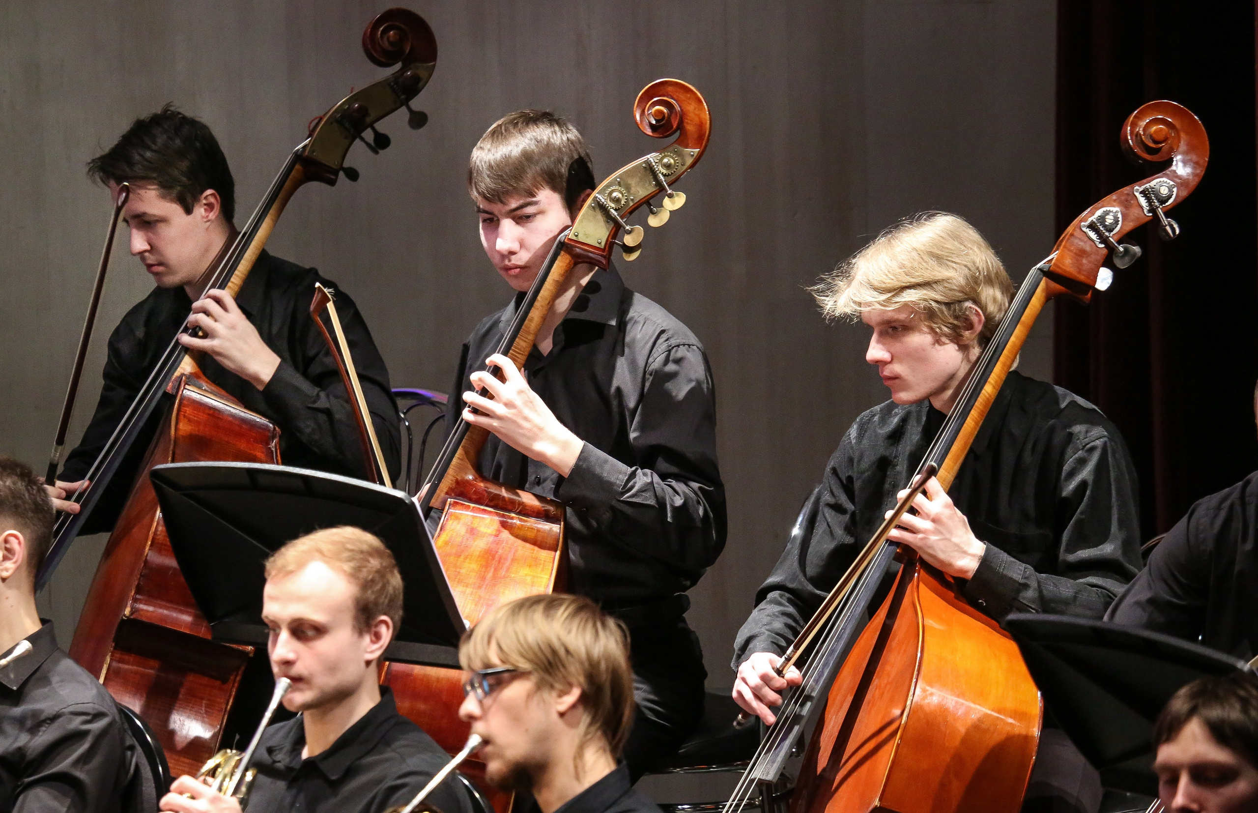 Концерт в Доме музыки к Международному дню борьбы с эпилепсией. Дарья Письменюк / Darya Leitstern — фотограф, музыкант, журналист, путешественник