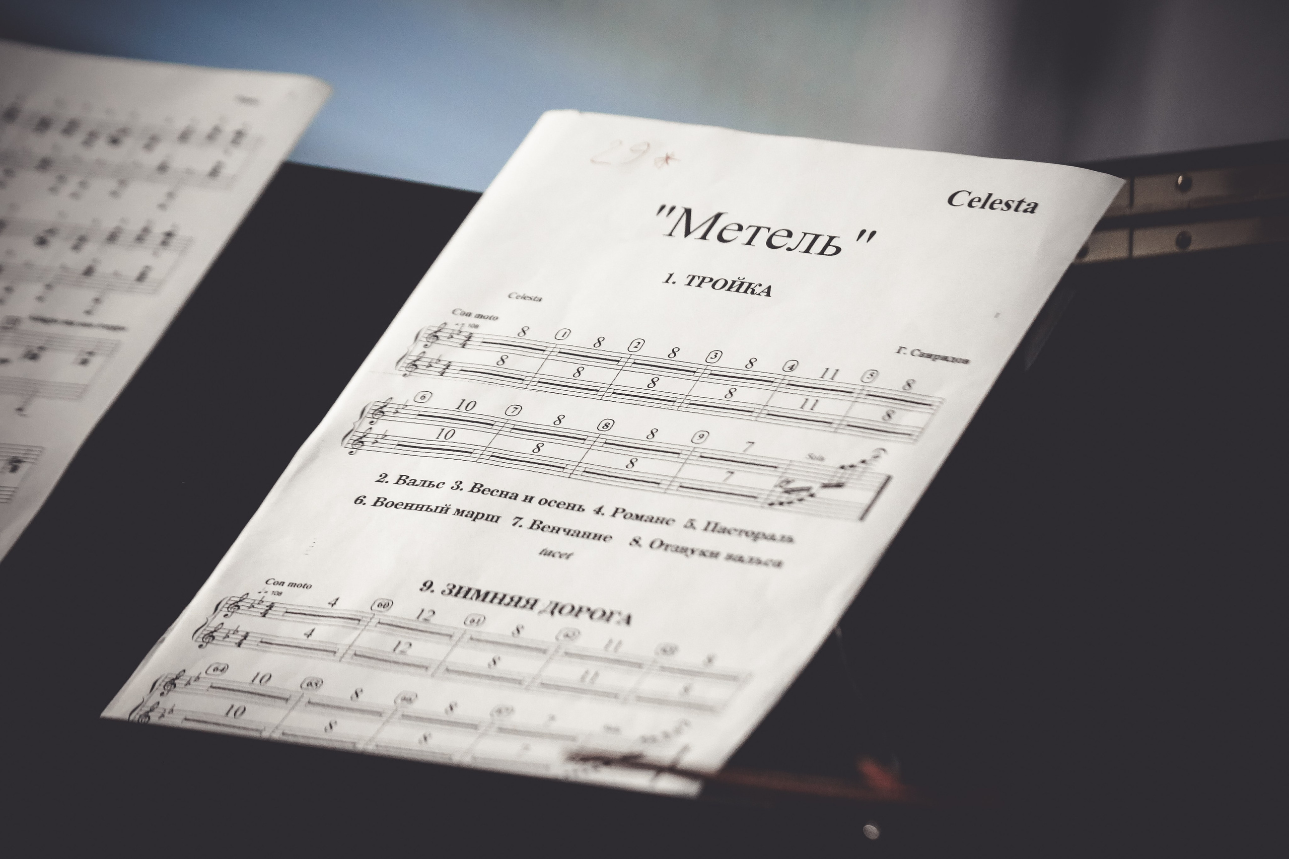 «Агата возвращается домой» с Алисой Гребенщиковой. Дарья Письменюк / Darya Leitstern — фотограф, музыкант, журналист, путешественник