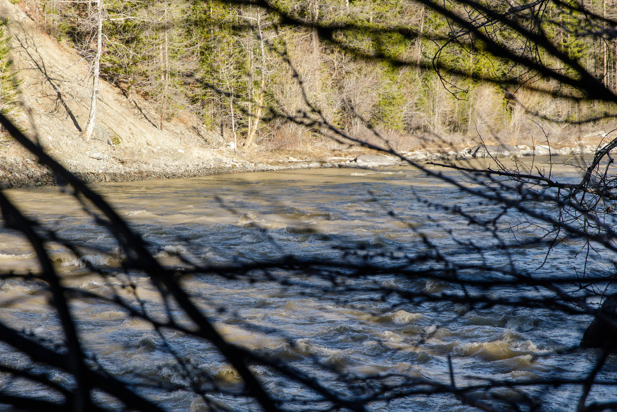 Горный Алтай. Фотограф Кирилл Мешков Кемерово