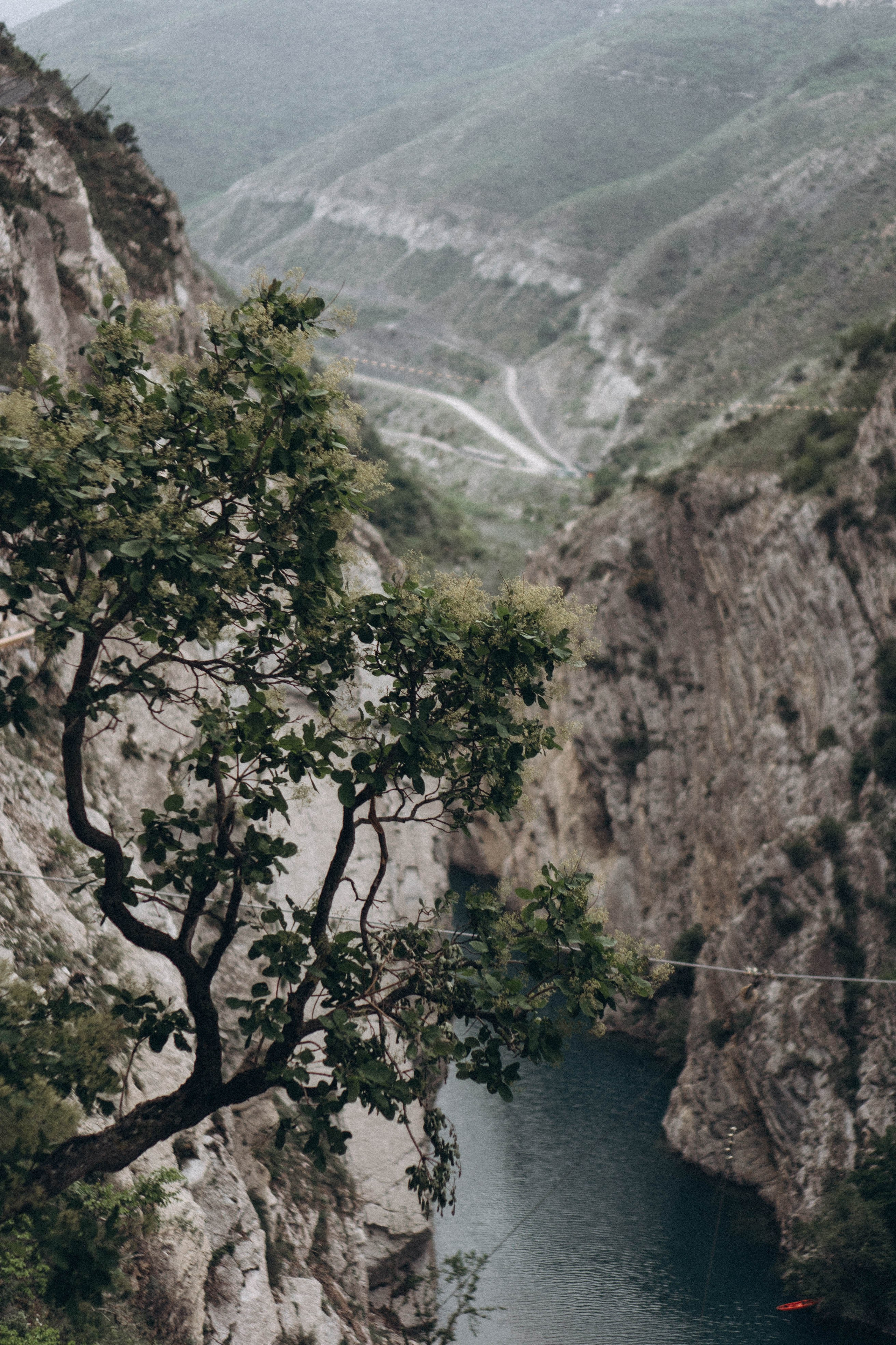 Кавказ. Профессиональный фотограф, Санкт-Петербург — Виктория Богомолова