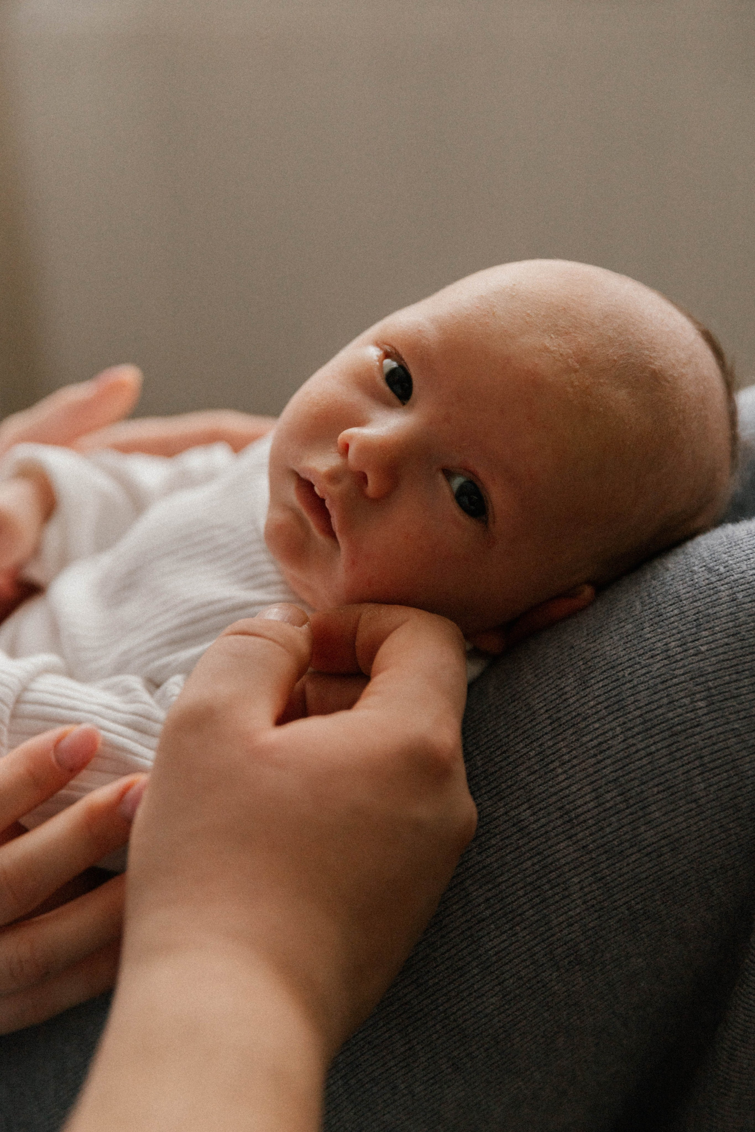 Екатерина, Евгений, Лев. Семейный и свадебный фотограф Нижний Новгород