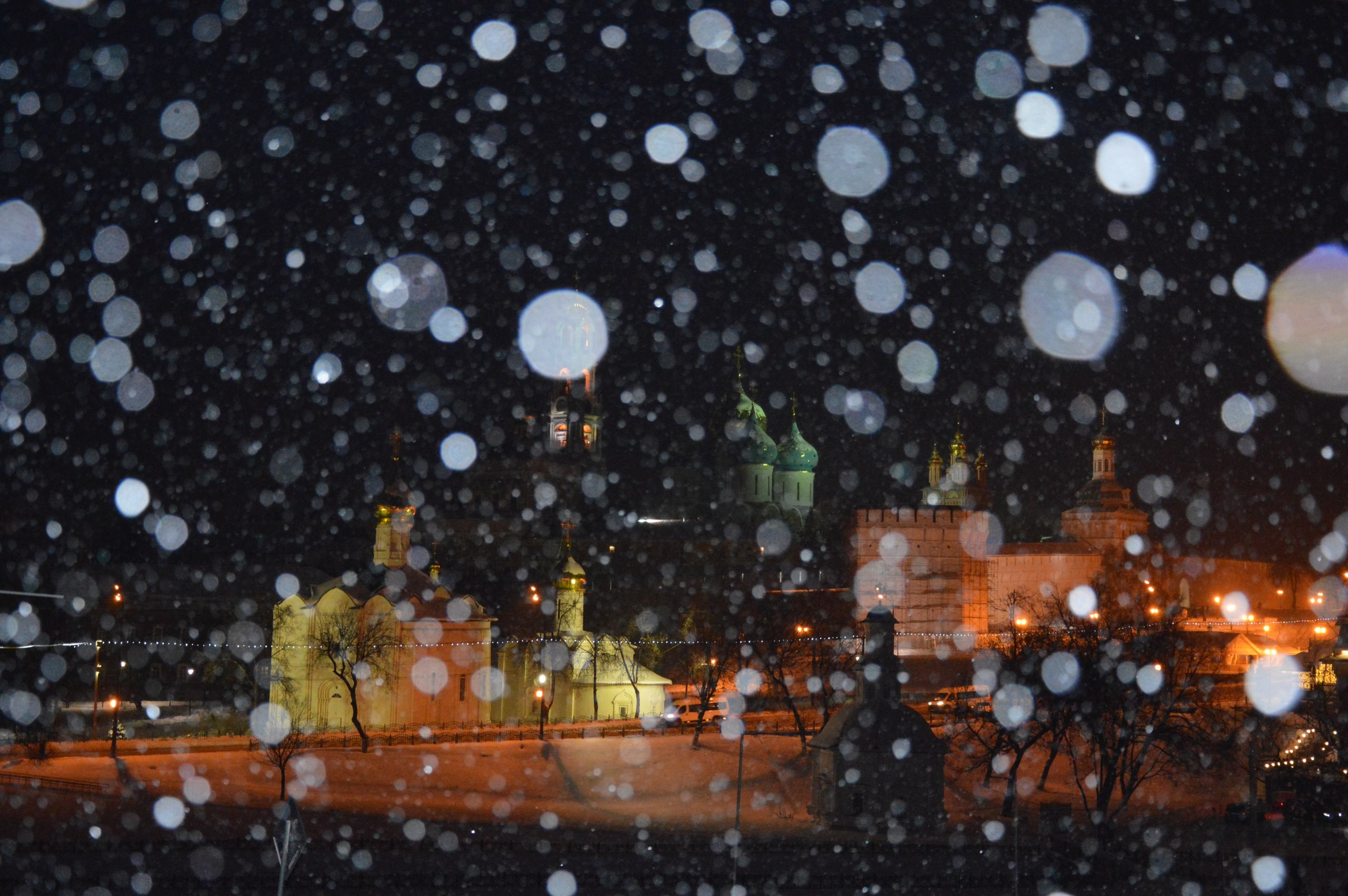 Сергиев Посад | 11.12.2016. Галерея Фантим