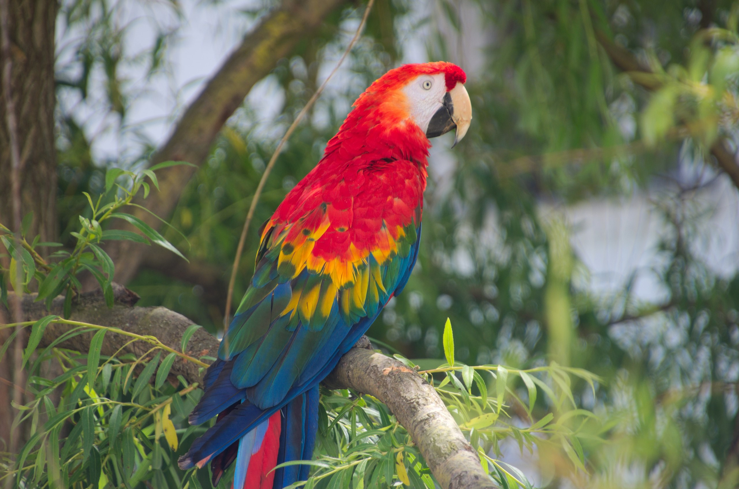 Таруса+Серпухов | 18.06.2017. Галерея Фантим