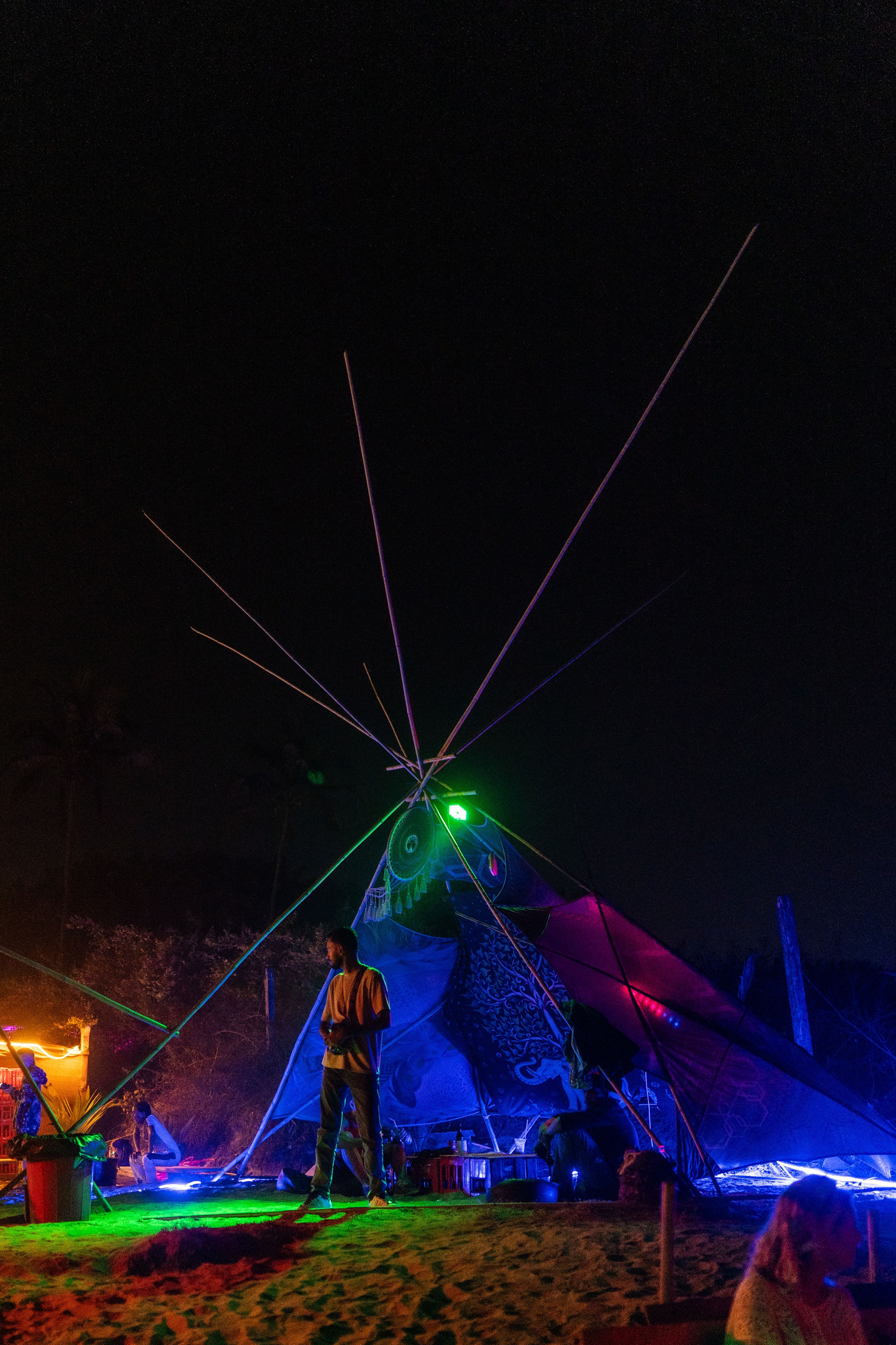 MIR Party 10.02.2026. Твой фотограф — Полосатый кот