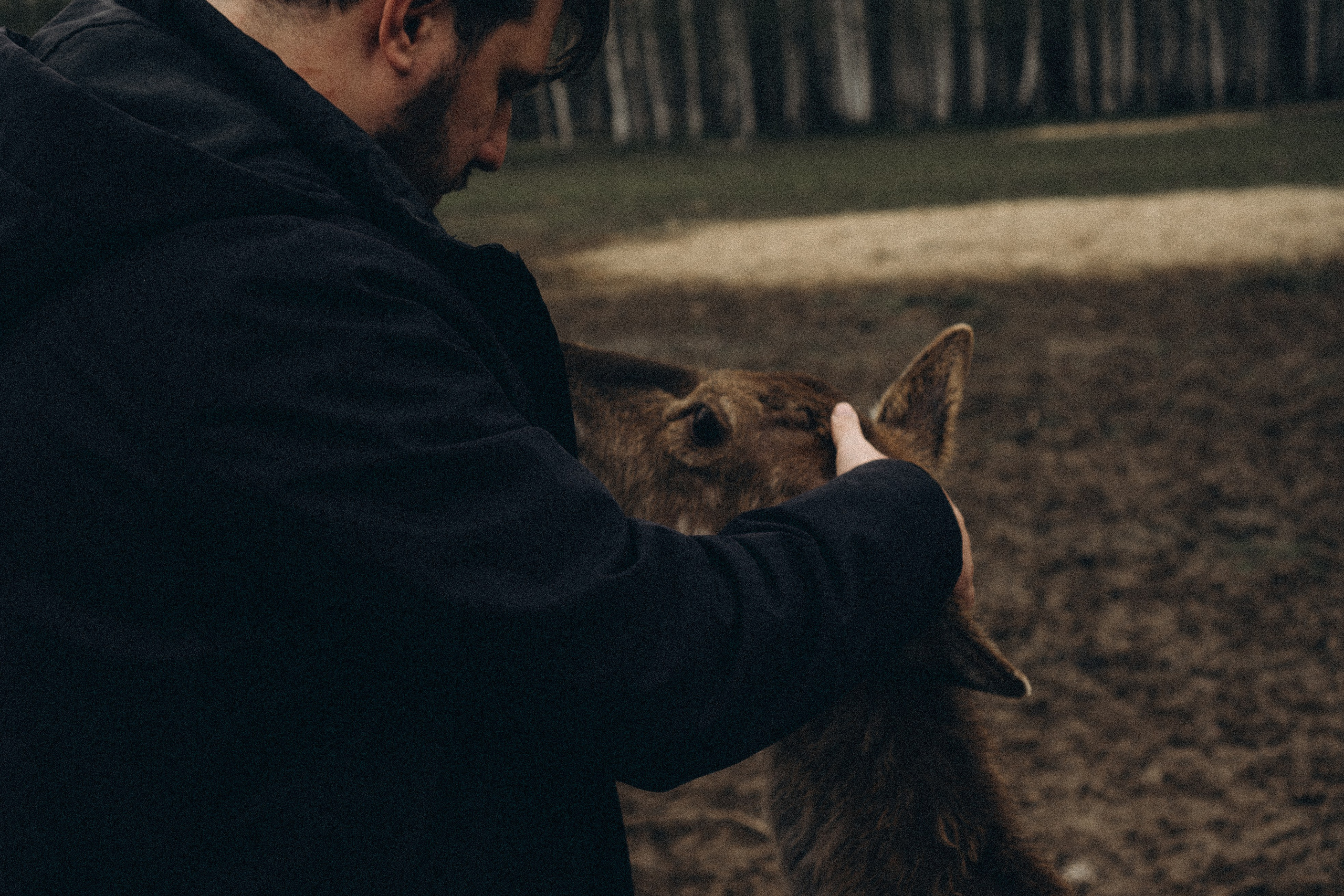 ОЛЕНЬЯ ФЕРМА В ТВЕРИ. Профессиональный фотограф, Санкт-Петербург — Виктория Богомолова