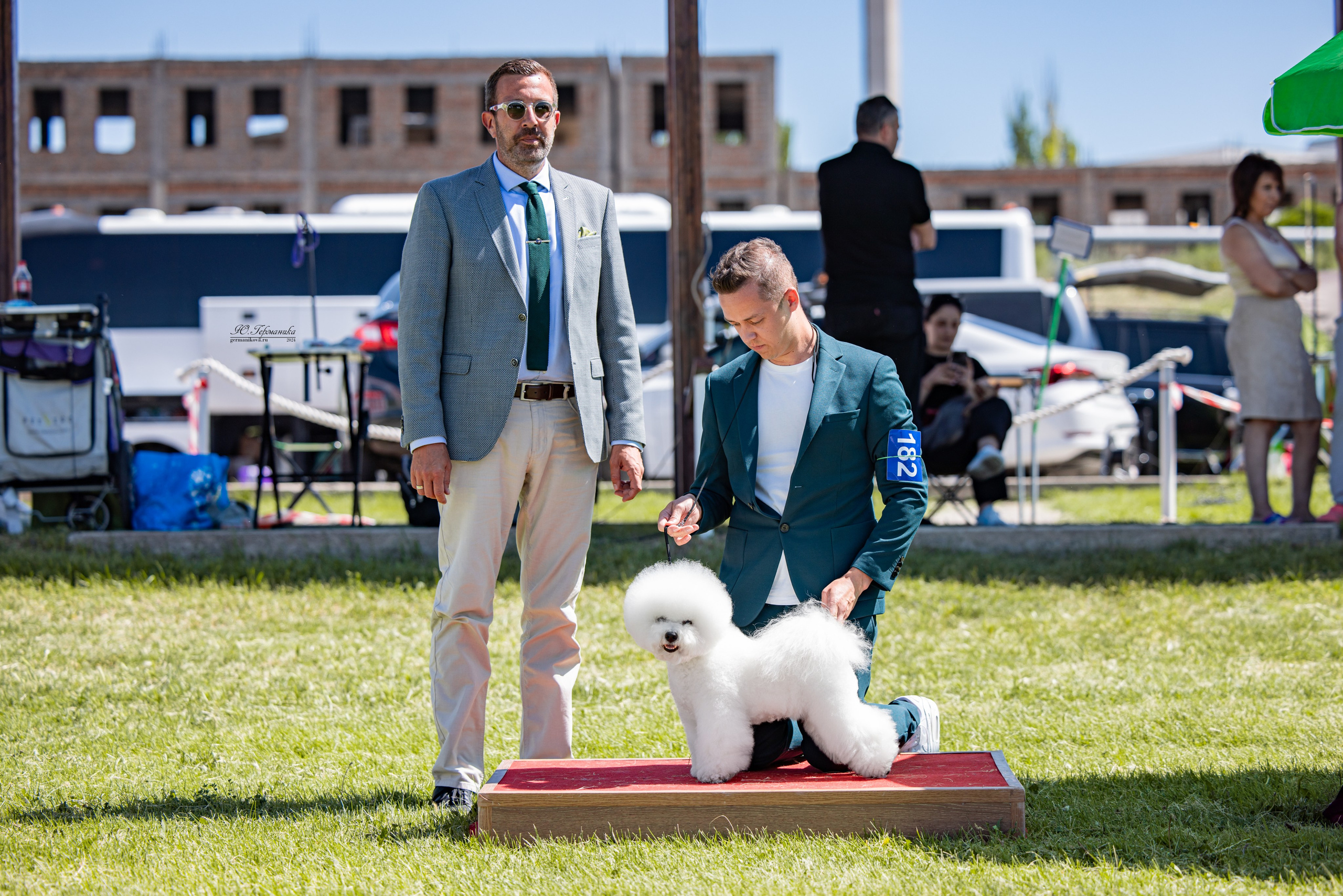 Ереван 3-5.06.2024. Фотограф-анималист Юлия Германика