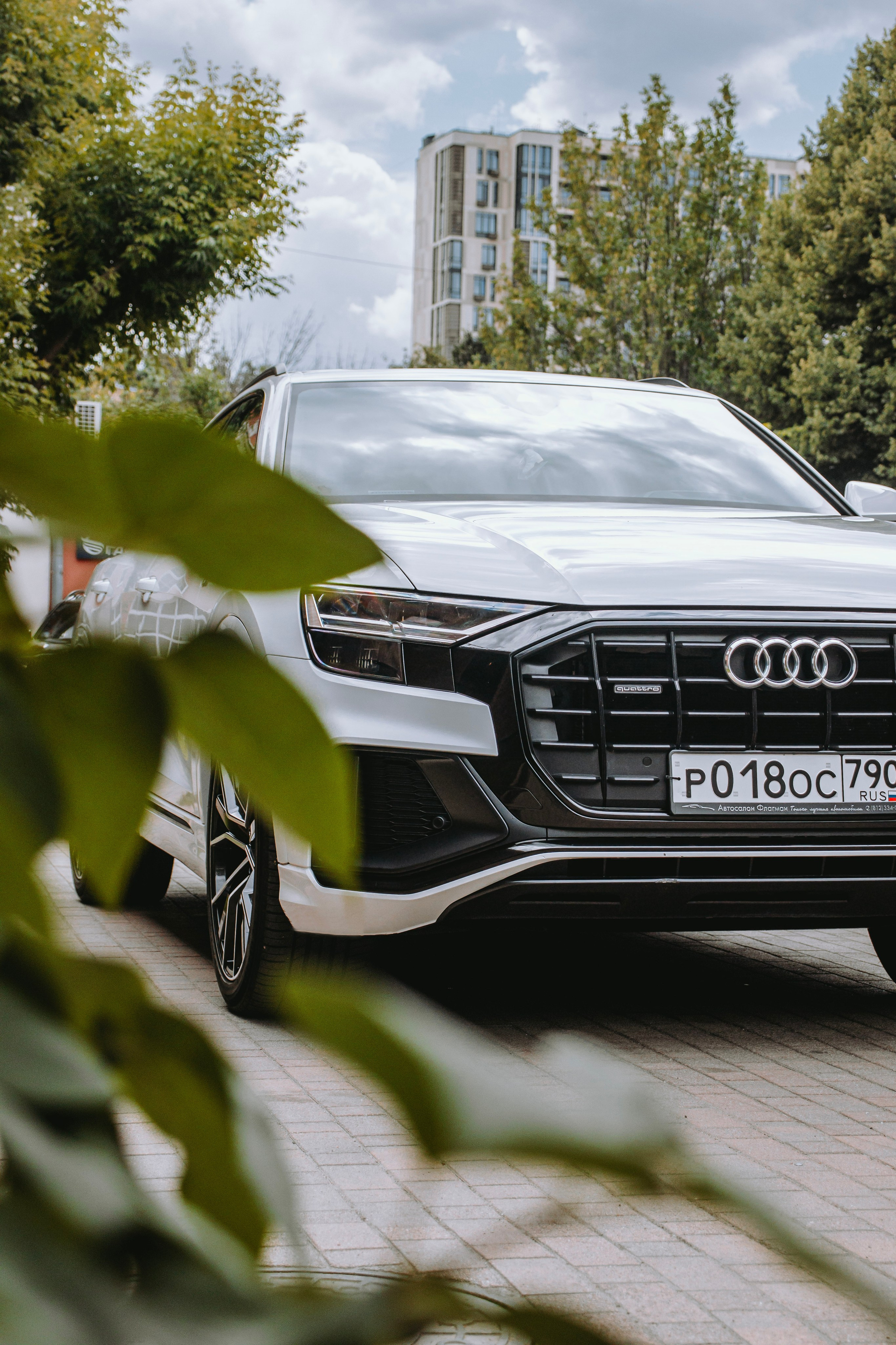 Audi Q8