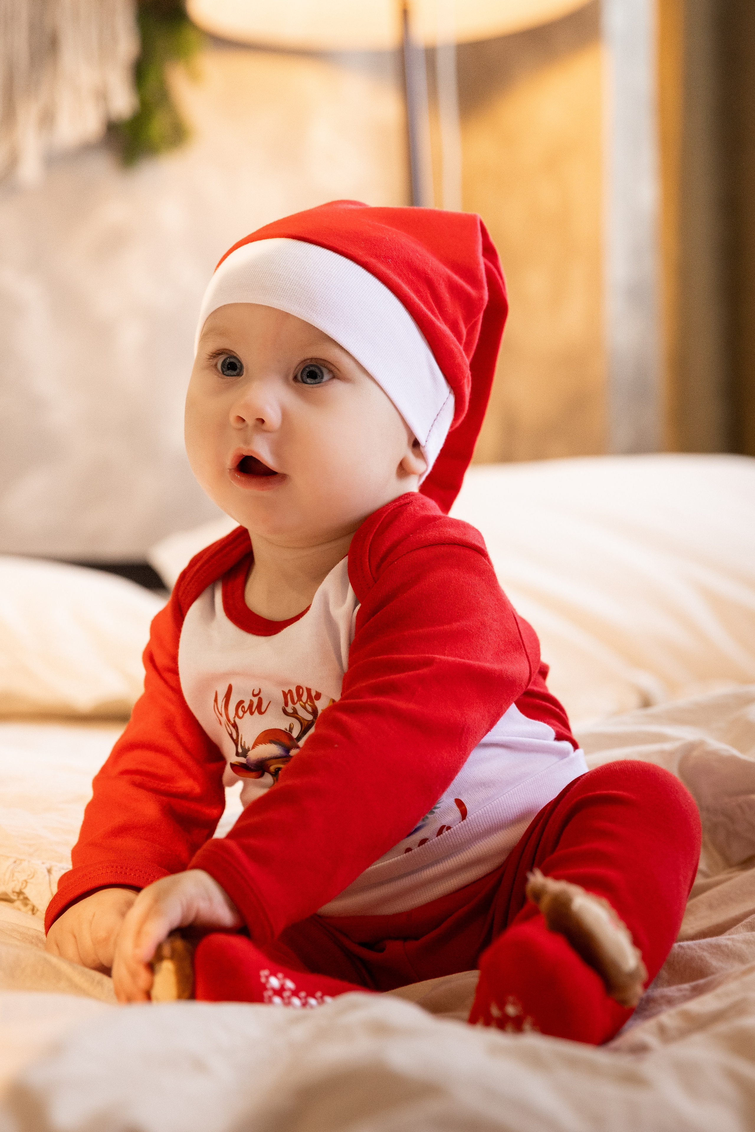 Новогодние. Фотограф Оксана Мамукаева г. Владикавказ