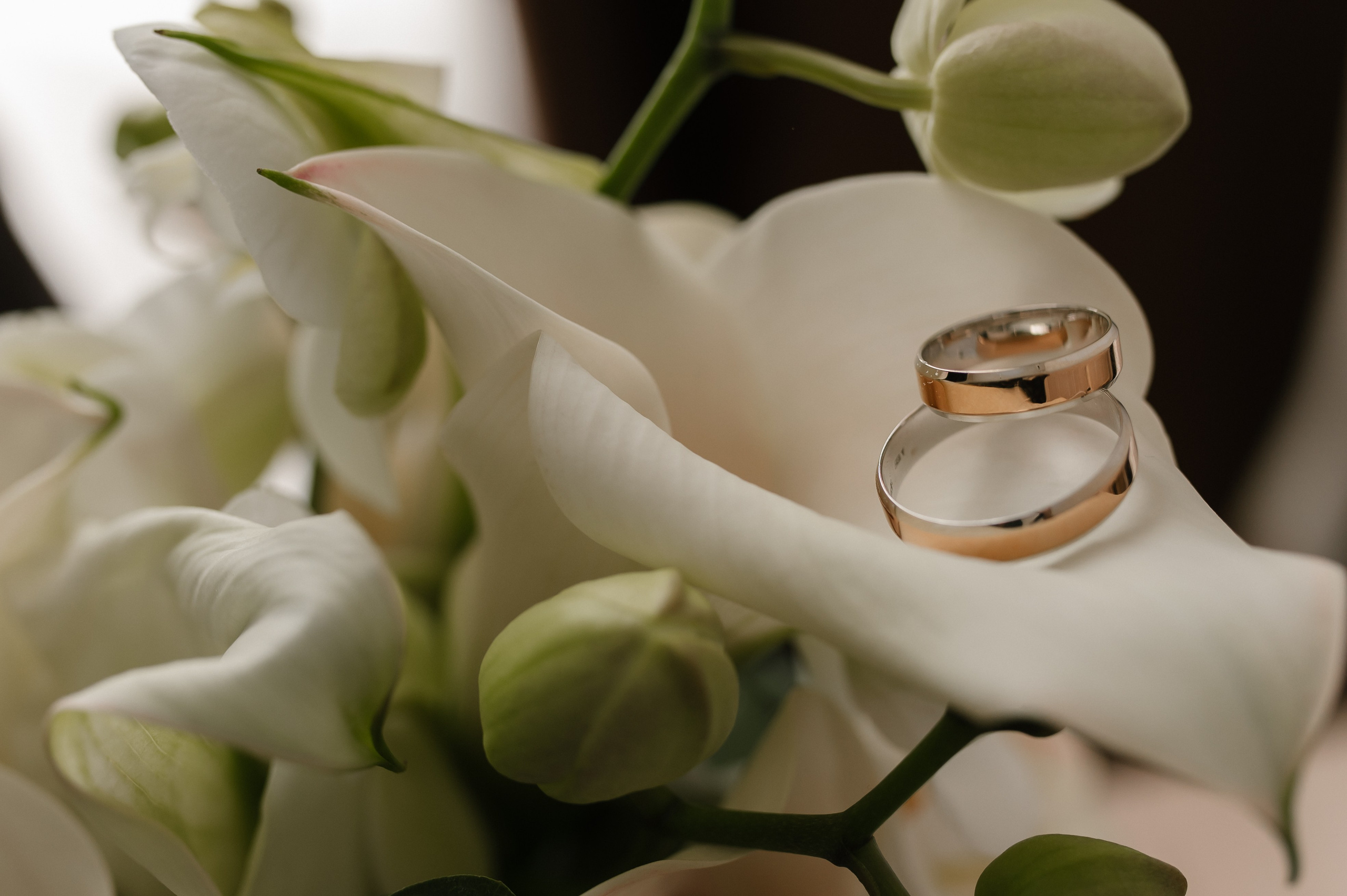 Сергей и Алёна. Свадебный и семейный фотограф Пенза Анастасия Артюшкина