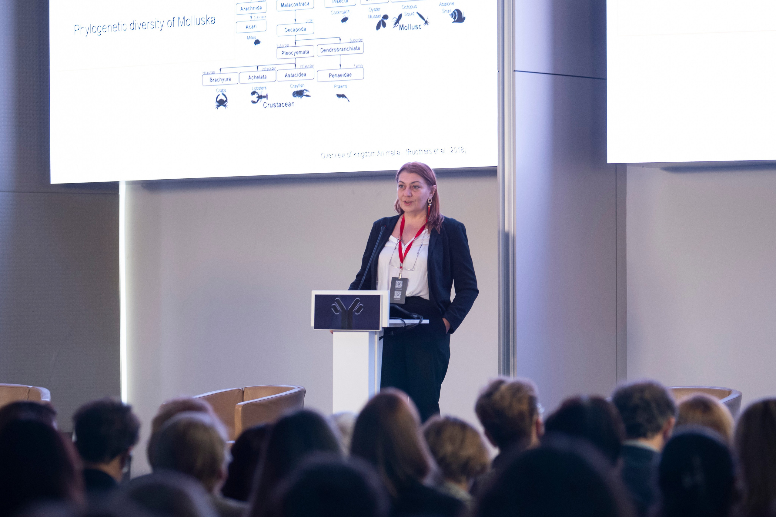 IMAC 2024. Фотограф Дарья Морозова