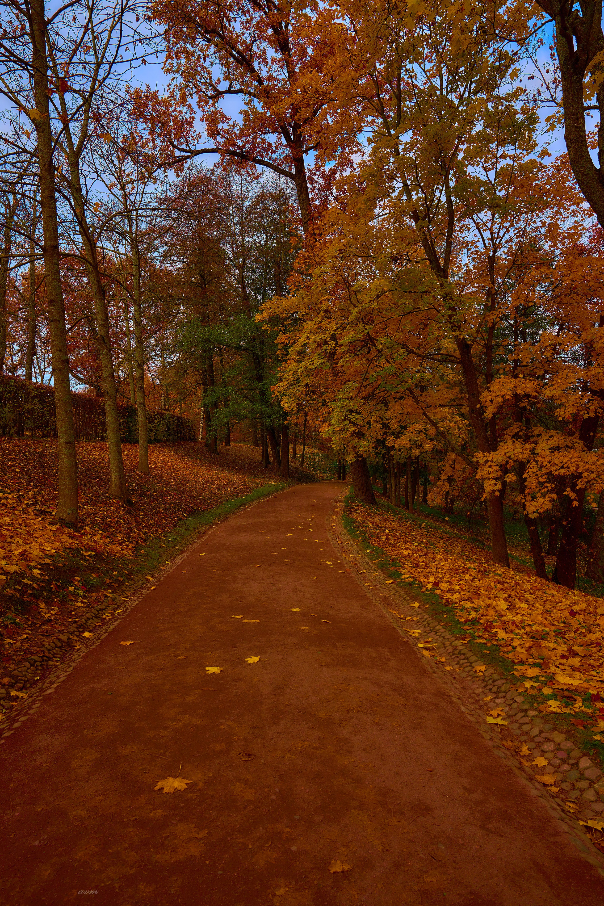 Петергоф. Фотограф Михеев Андрей