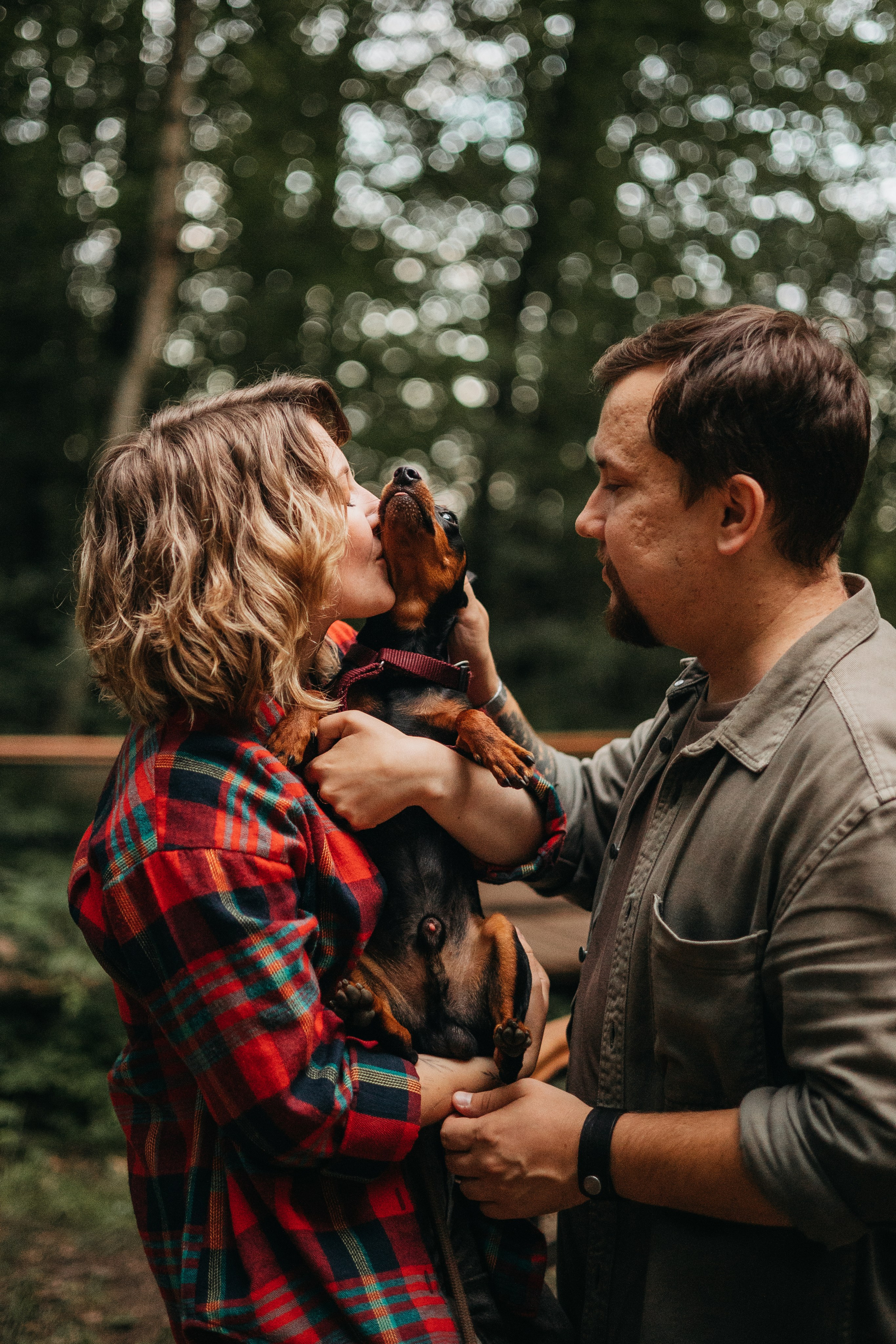 Сириус и его семья. Фотограф — Анималист | Санкт-Петербург