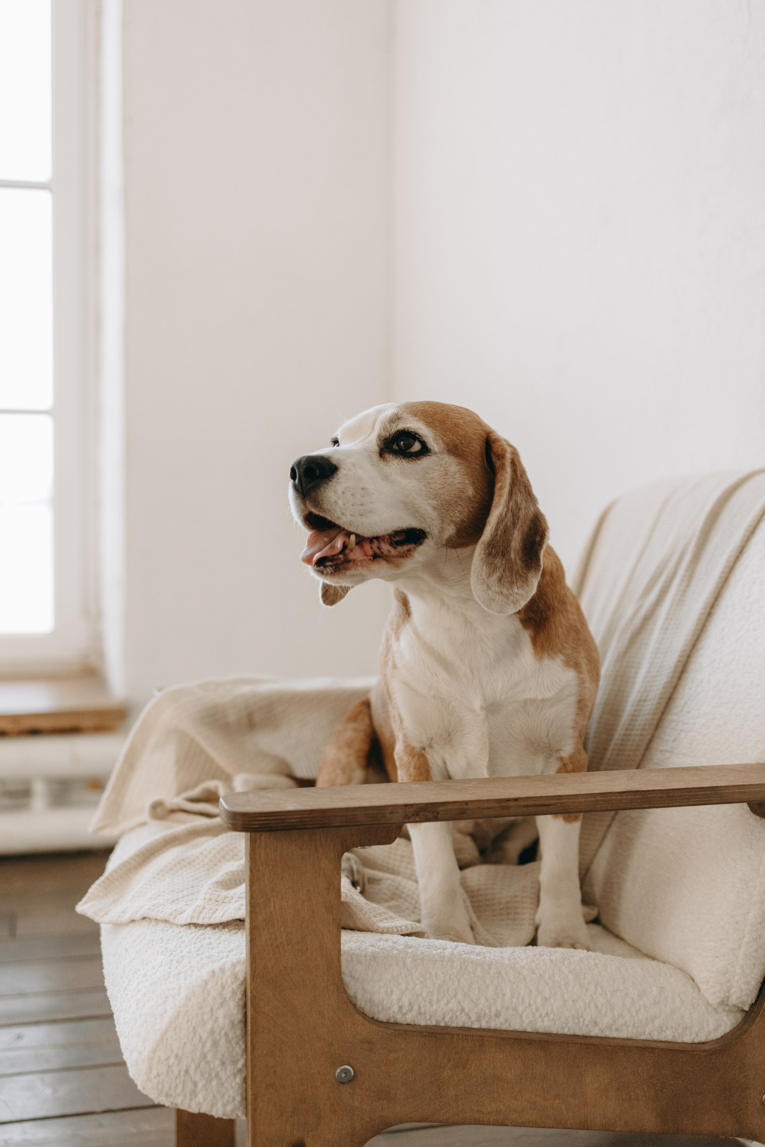 Даня и его семья. Фотограф — Анималист | Санкт-Петербург