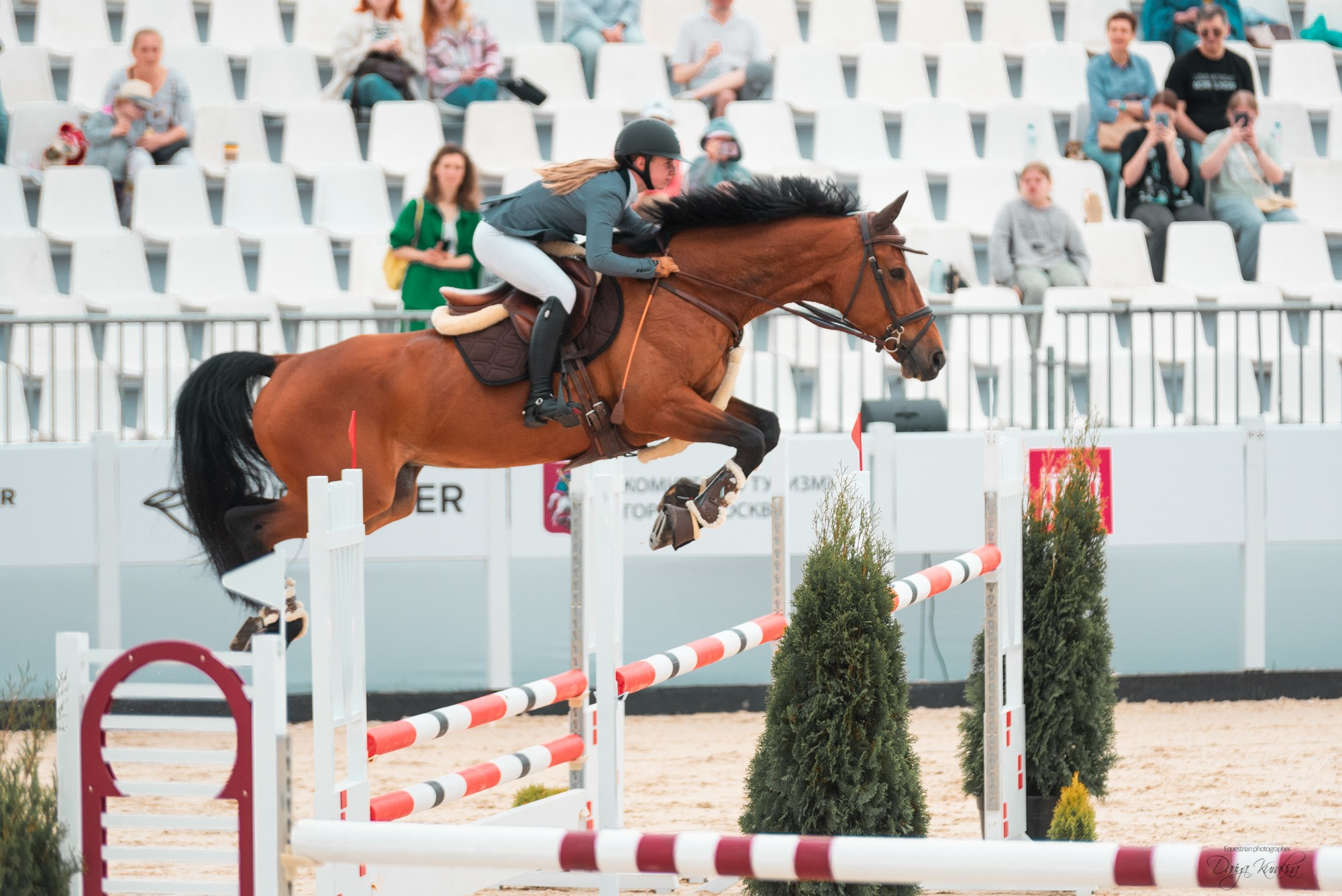 BITRIVER CUP 2023. Конный фотограф Куракина Дарья • Фотосессии с лошадьми