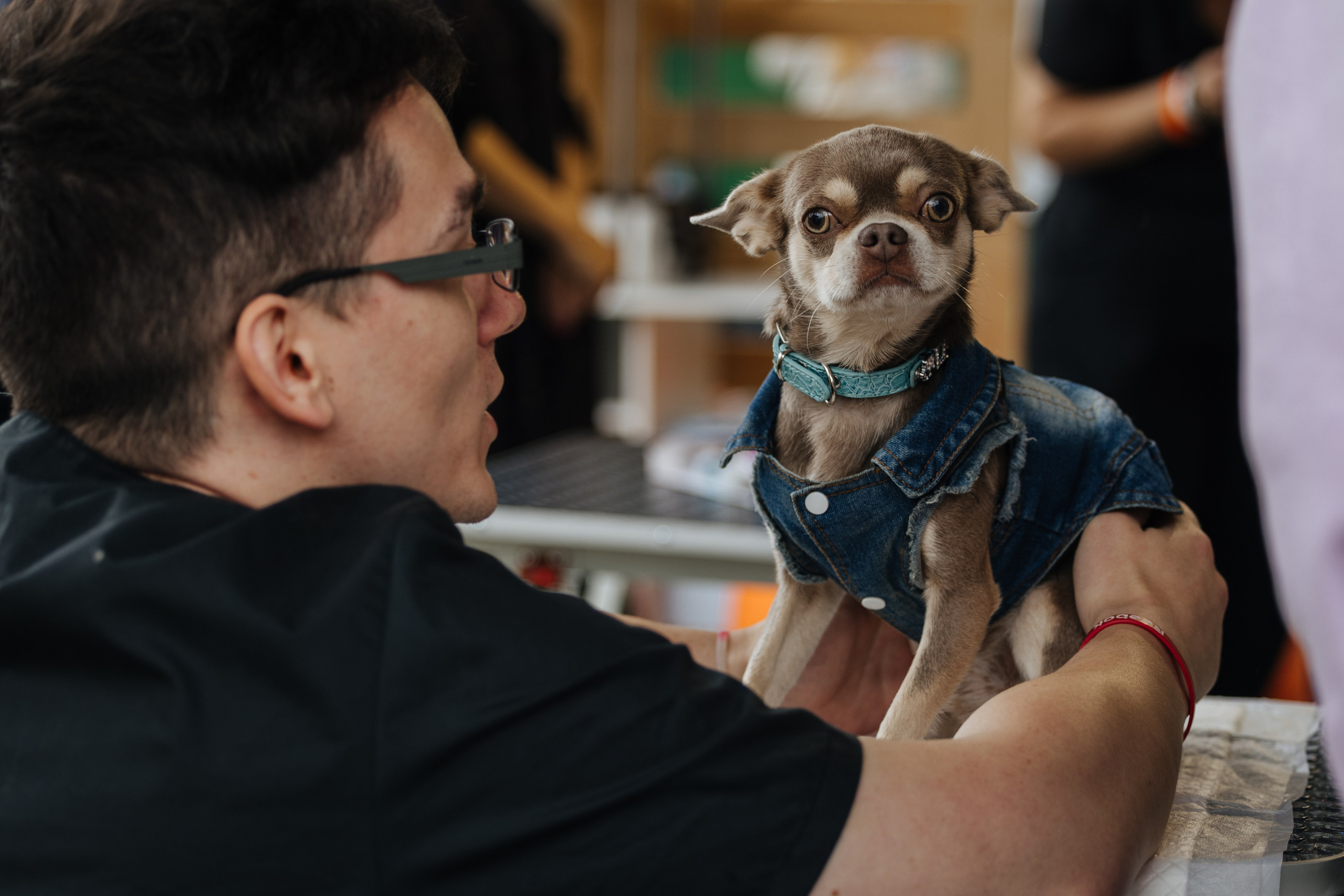 Хвостатый репортаж. Аксана Лисовская фотограф в Москве. Фотографии с характером