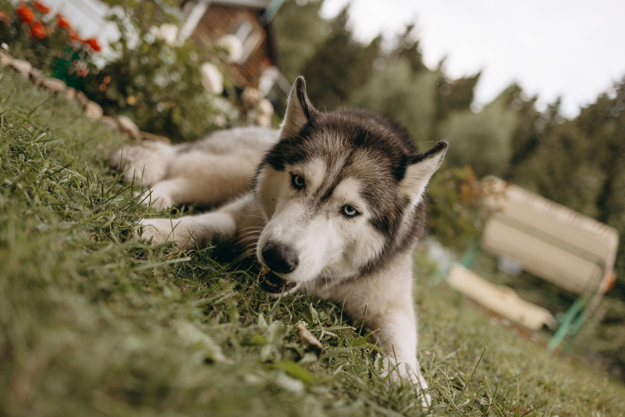 Дом у реки. Фотограф — Анималист | Санкт-Петербург