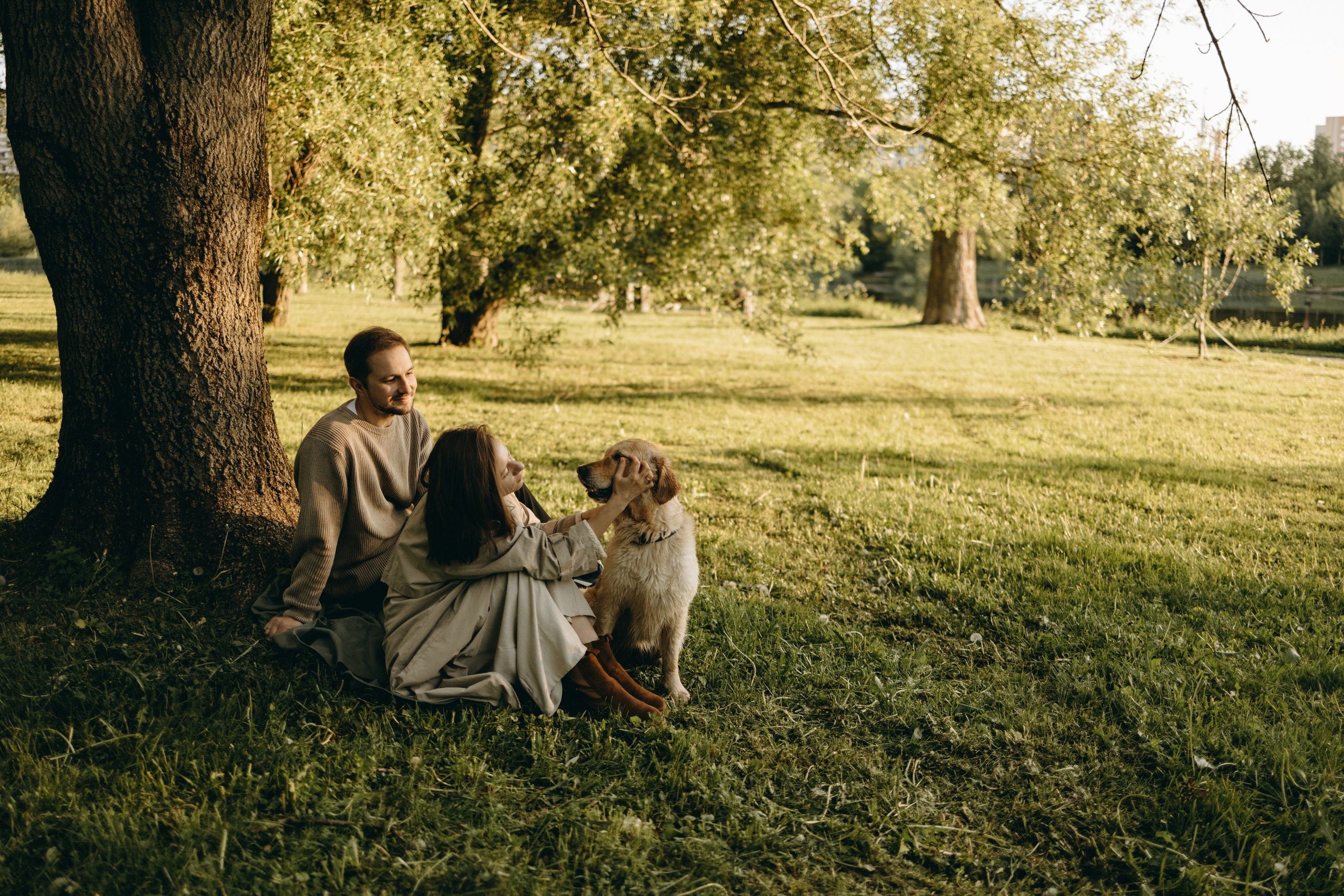 Пенни и ребята. Фотограф — Анималист | Санкт-Петербург
