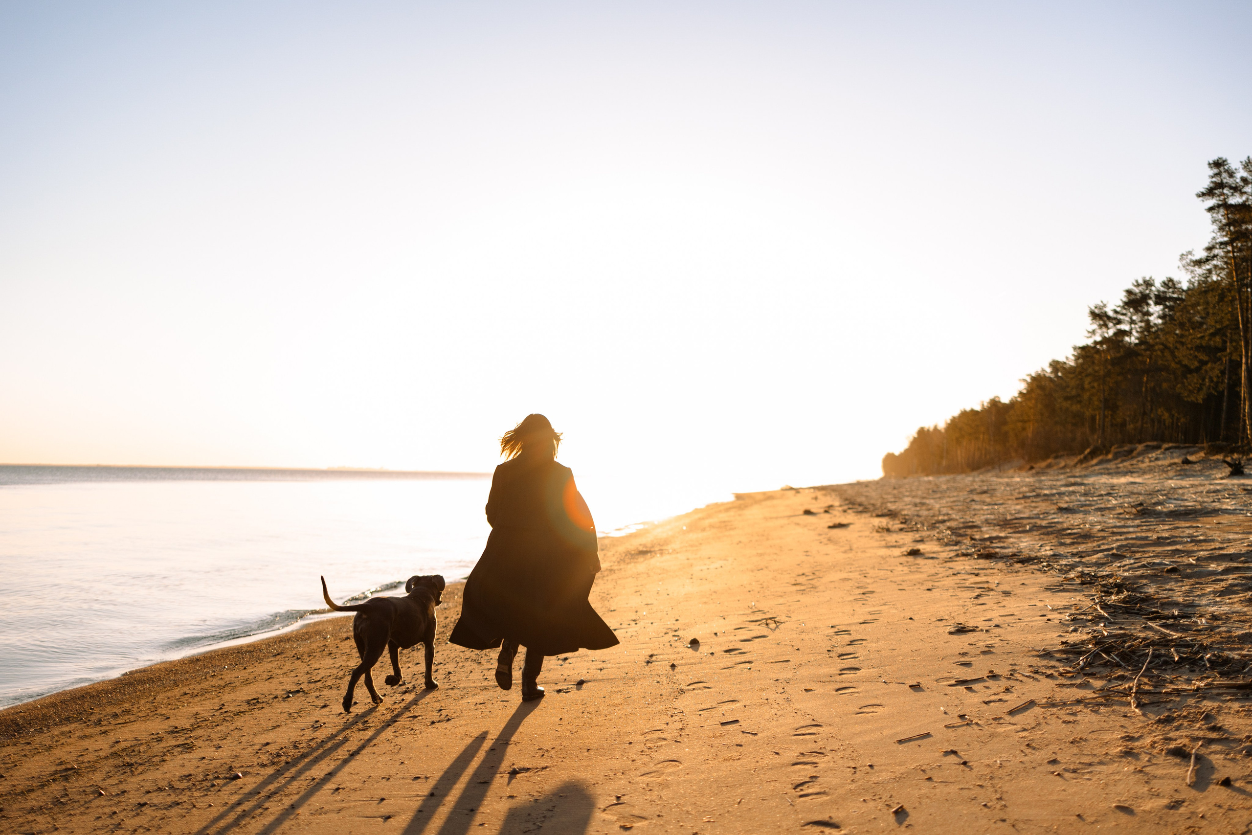 Анна и Лана. Фотограф — Анималист | Санкт-Петербург