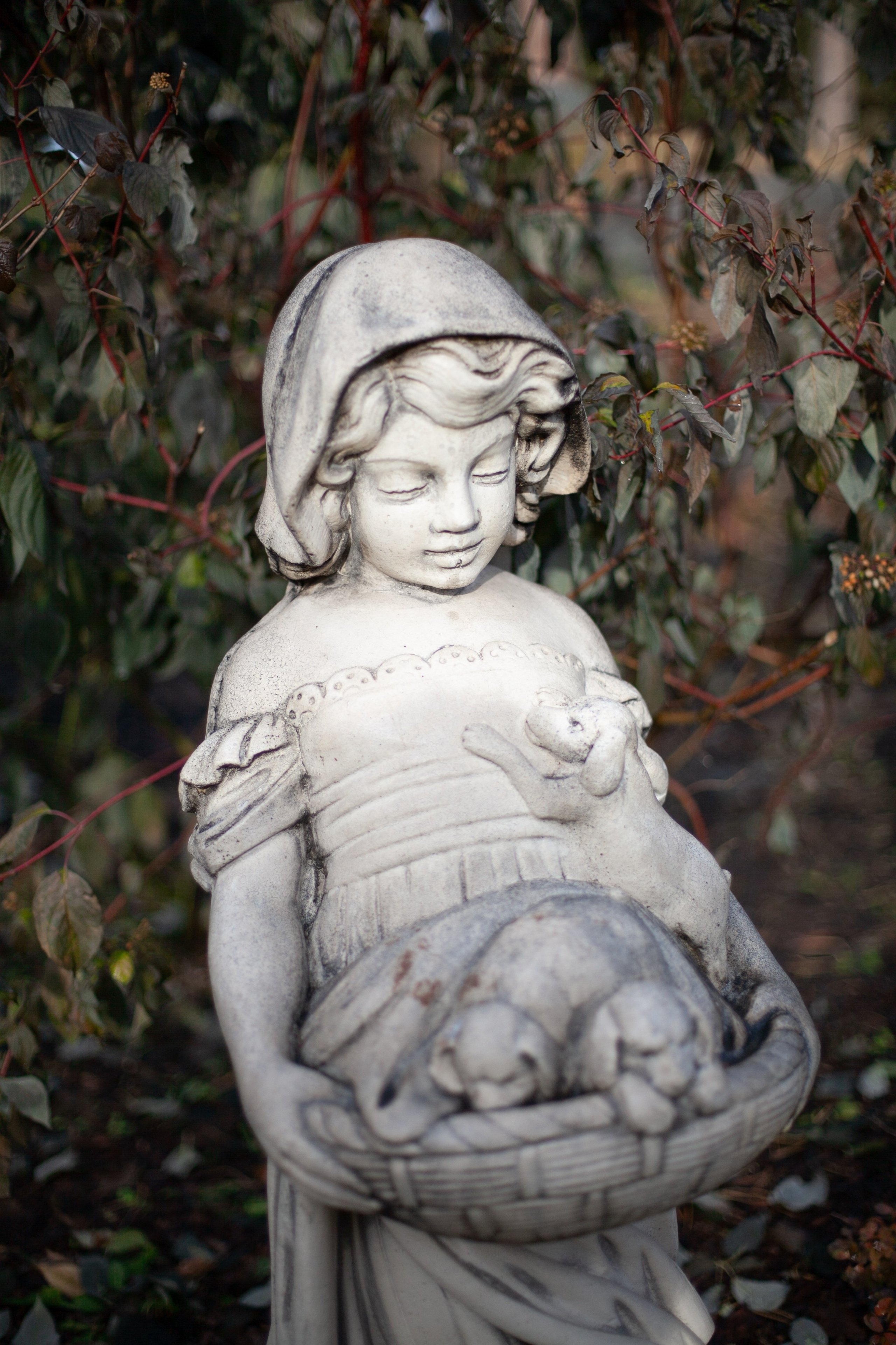 Сады Мечты. Контент для сайта. Фотограф Дарья Локотко в Красноярске