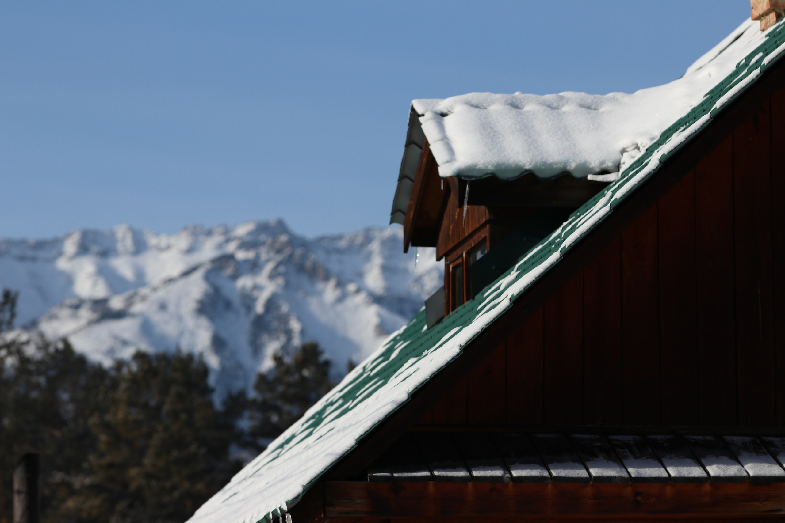 Аршан. Январь 2024. Путешественник-фотограф из Санкт-Петербурга Татьяна Свистулина