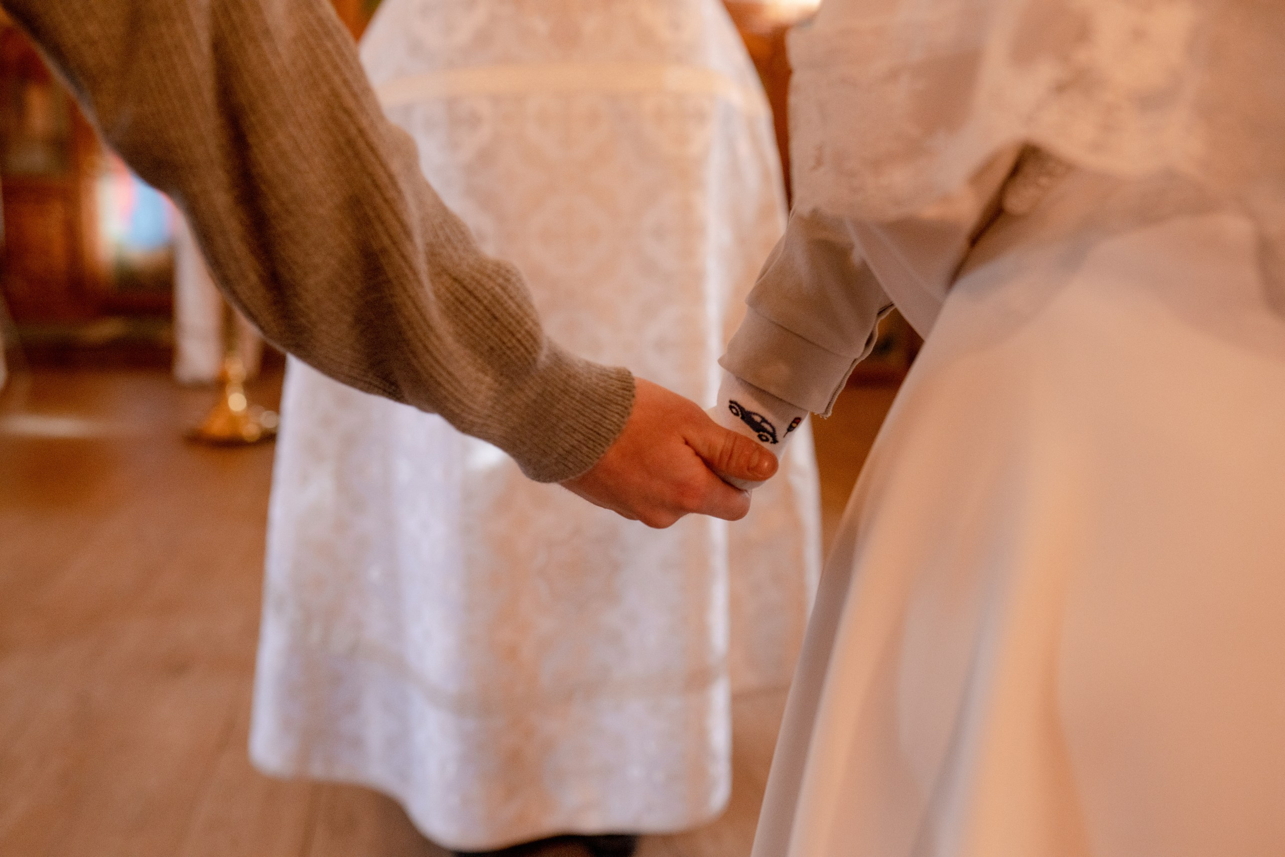 Лев. Храм Преподобного Сергея Радонежского. Семейный фотограф в Москве Лилия Лебедева