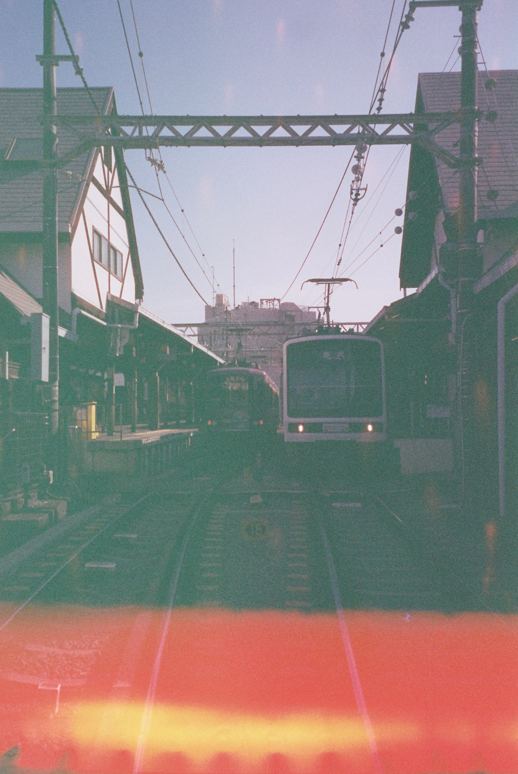 Пленка. Фотограф Алина Диева Москва | Токио