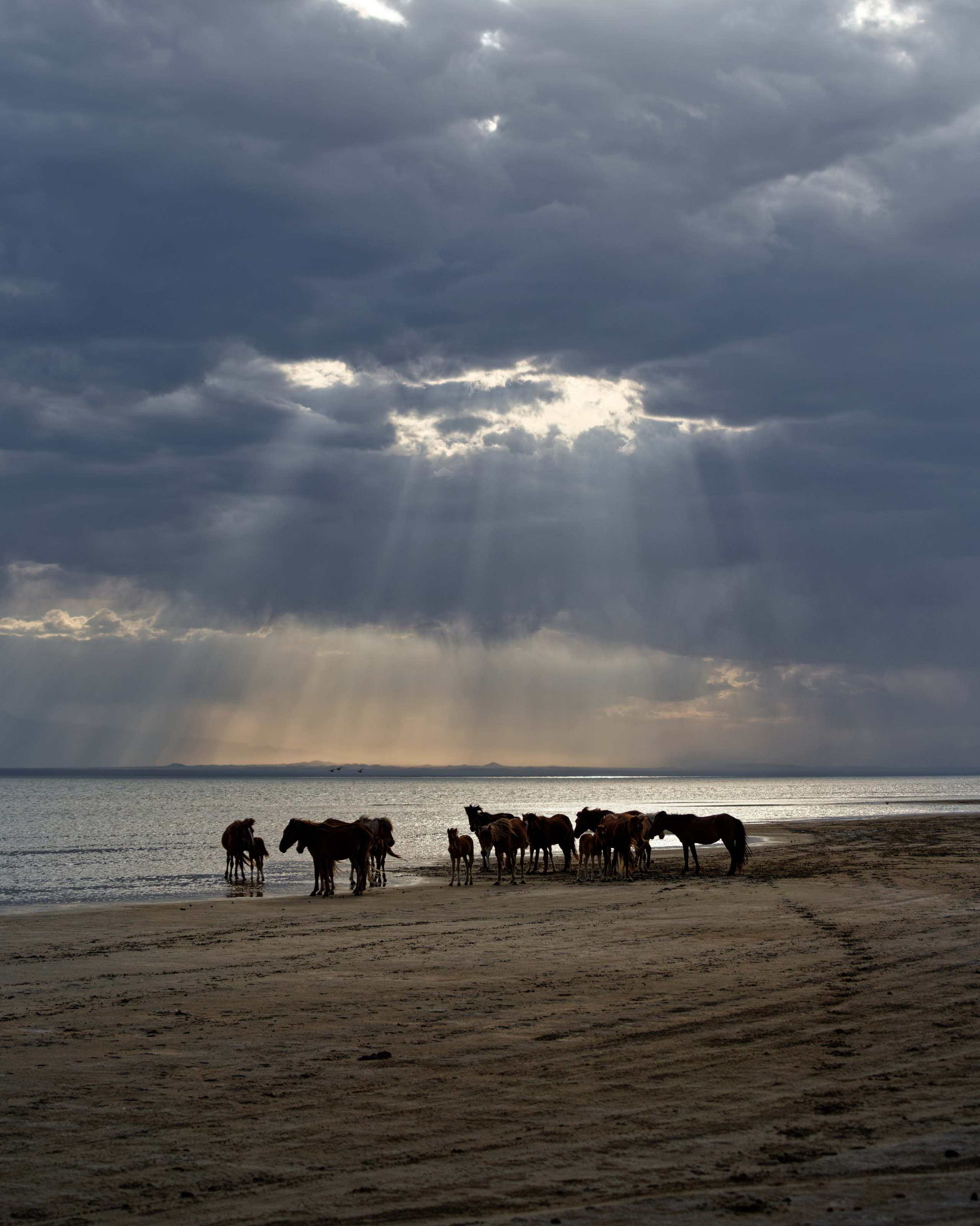 Экспедиция в Монголию (Гоби). Семоха Валерий. Фотограф